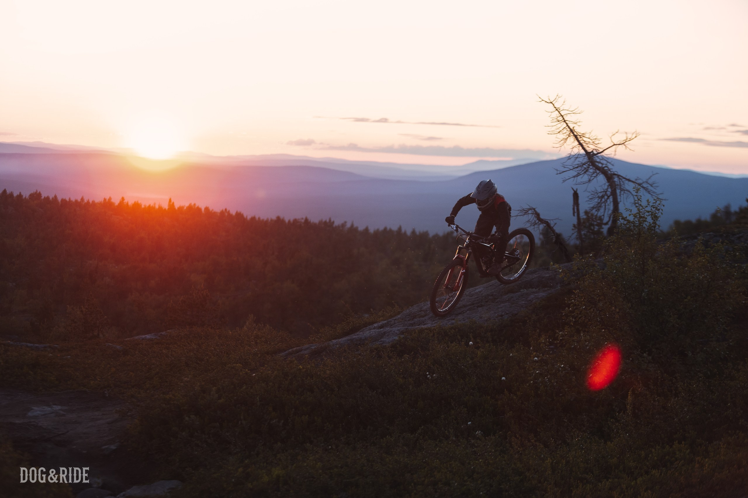 Кандалакшка. Фотограф анималист Никита Натальный