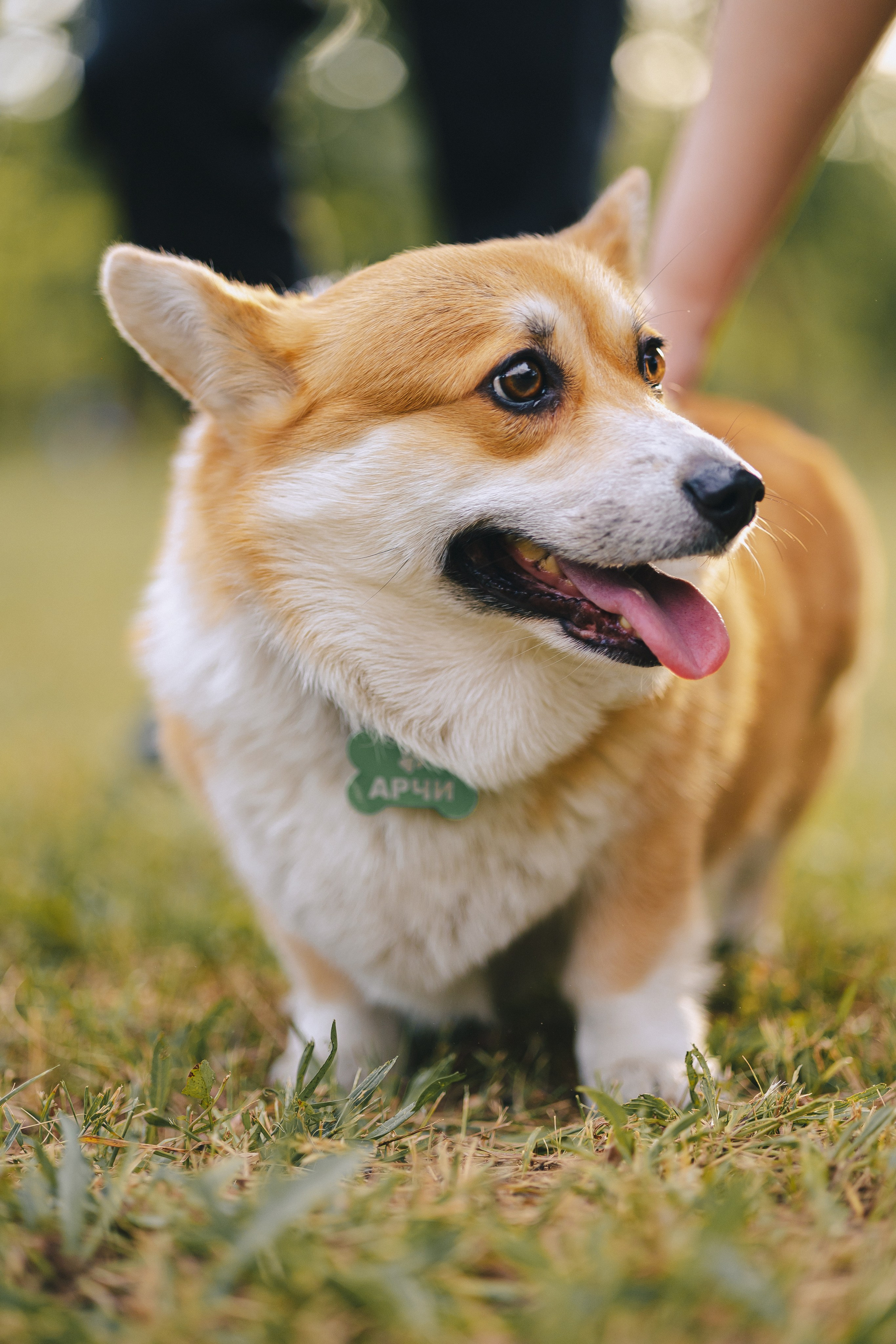 Рита, Денис и Кирилл. Фотограф Таганрог Любимая Надя