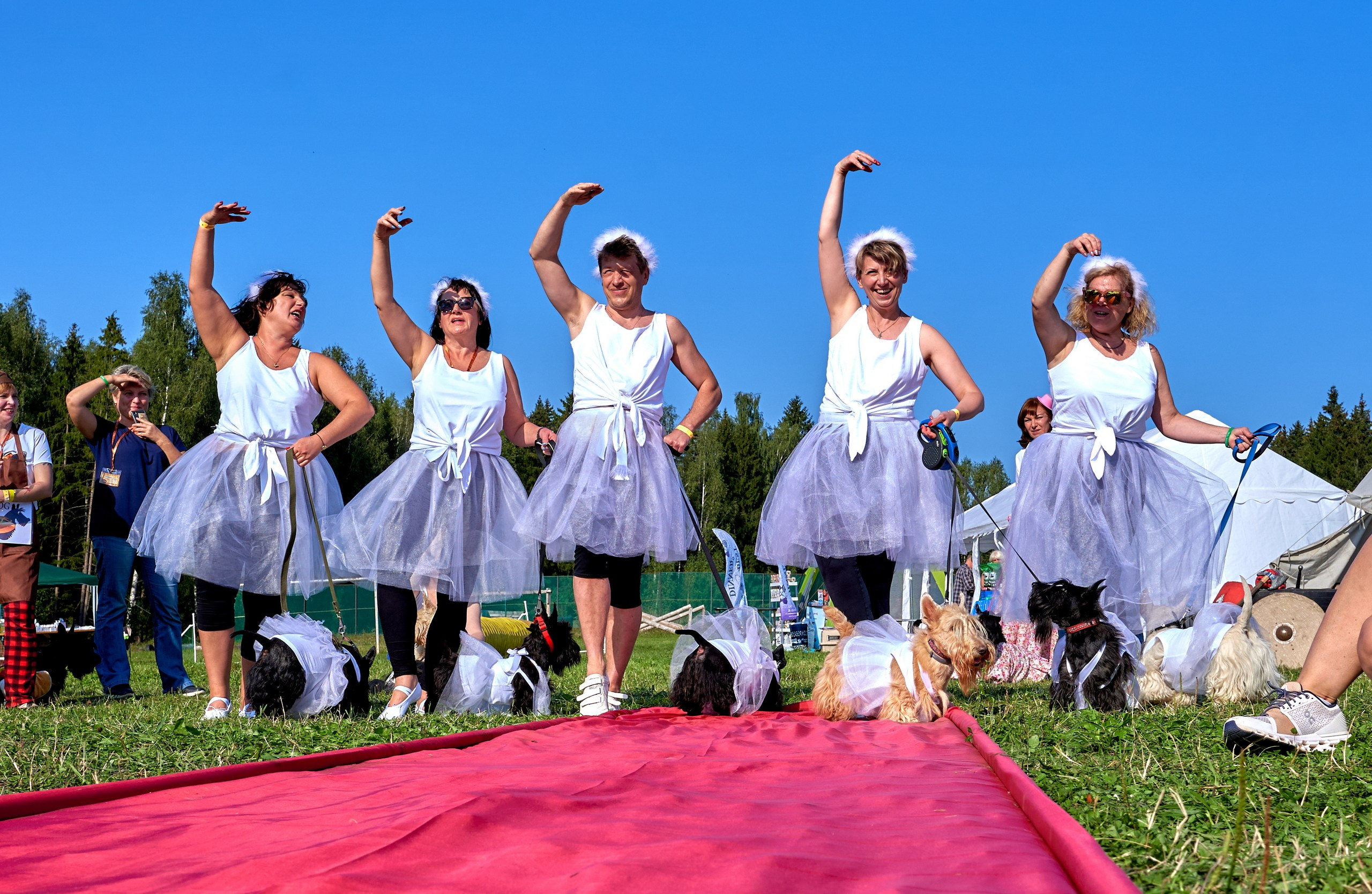 Мероприятия с собаками — галерея NATRIEL