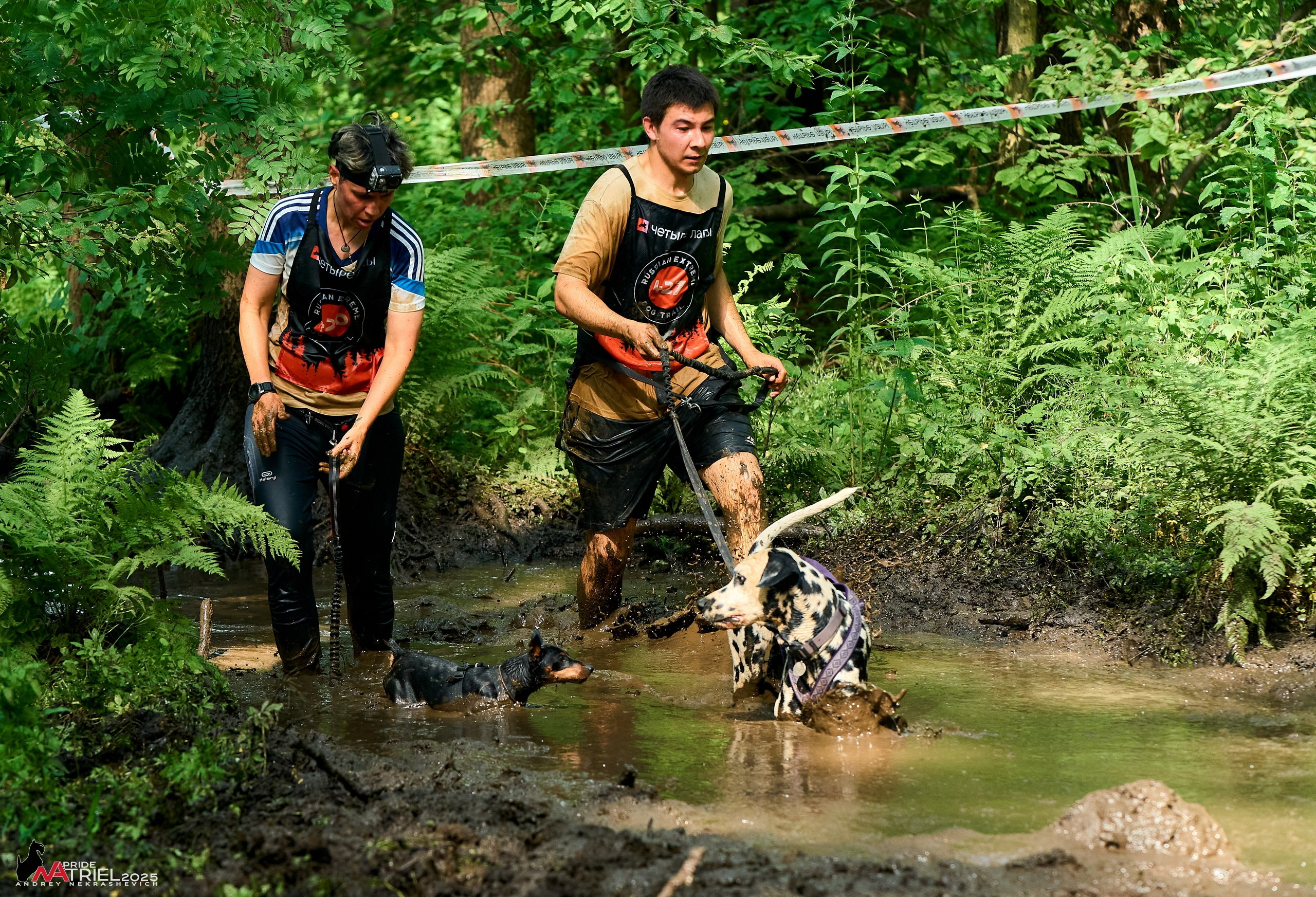 Russian Extreme Dog Trail — 2025