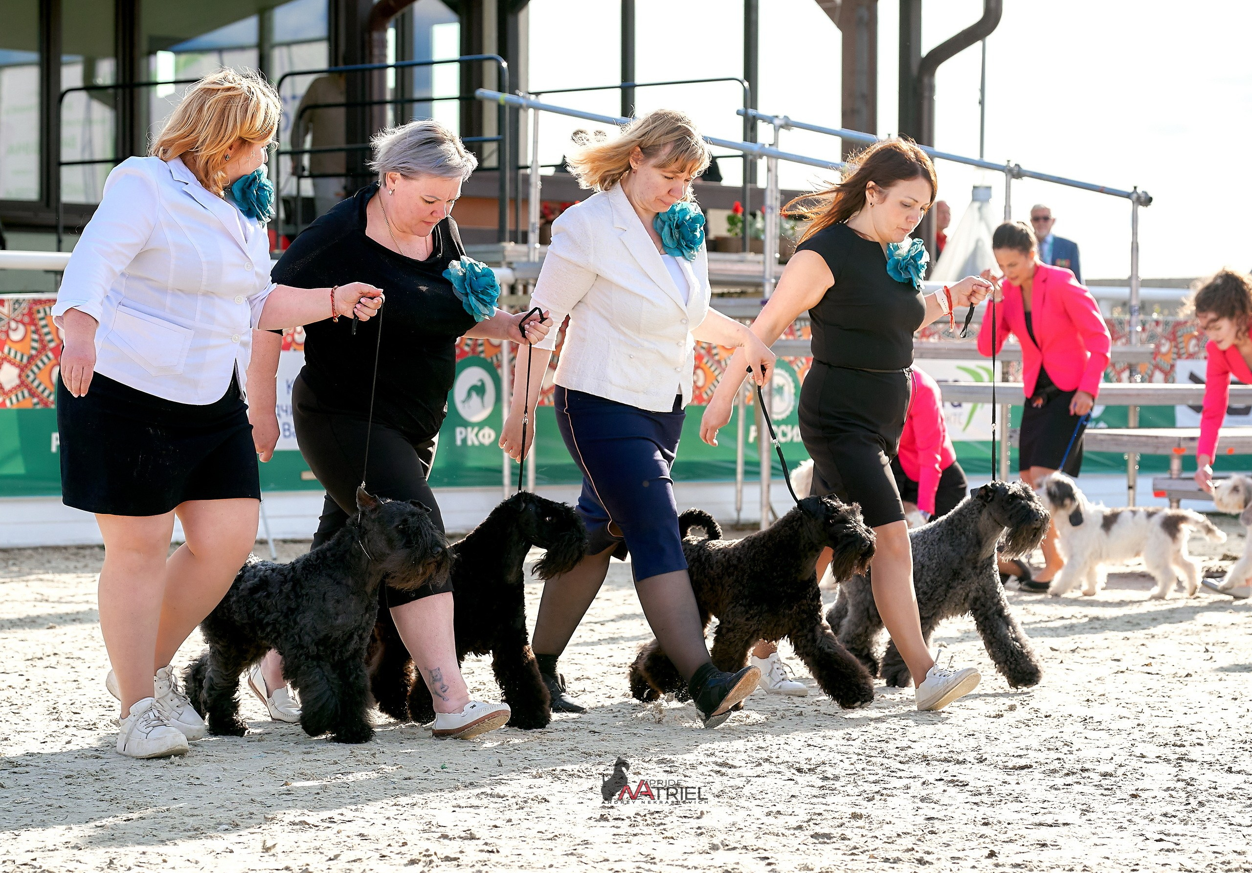 Работа в рингах — галерея NATRIEL