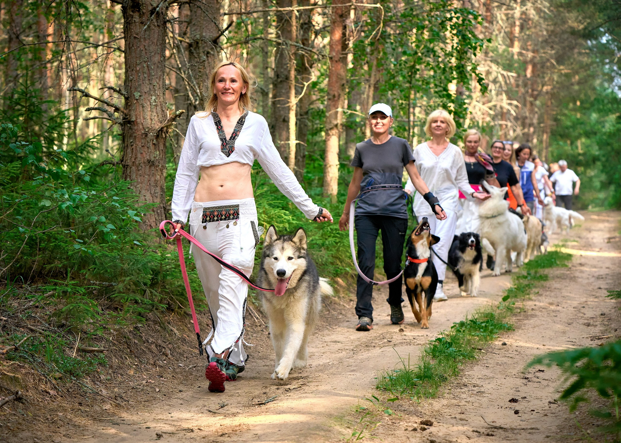 Мероприятия с собаками — галерея NATRIEL