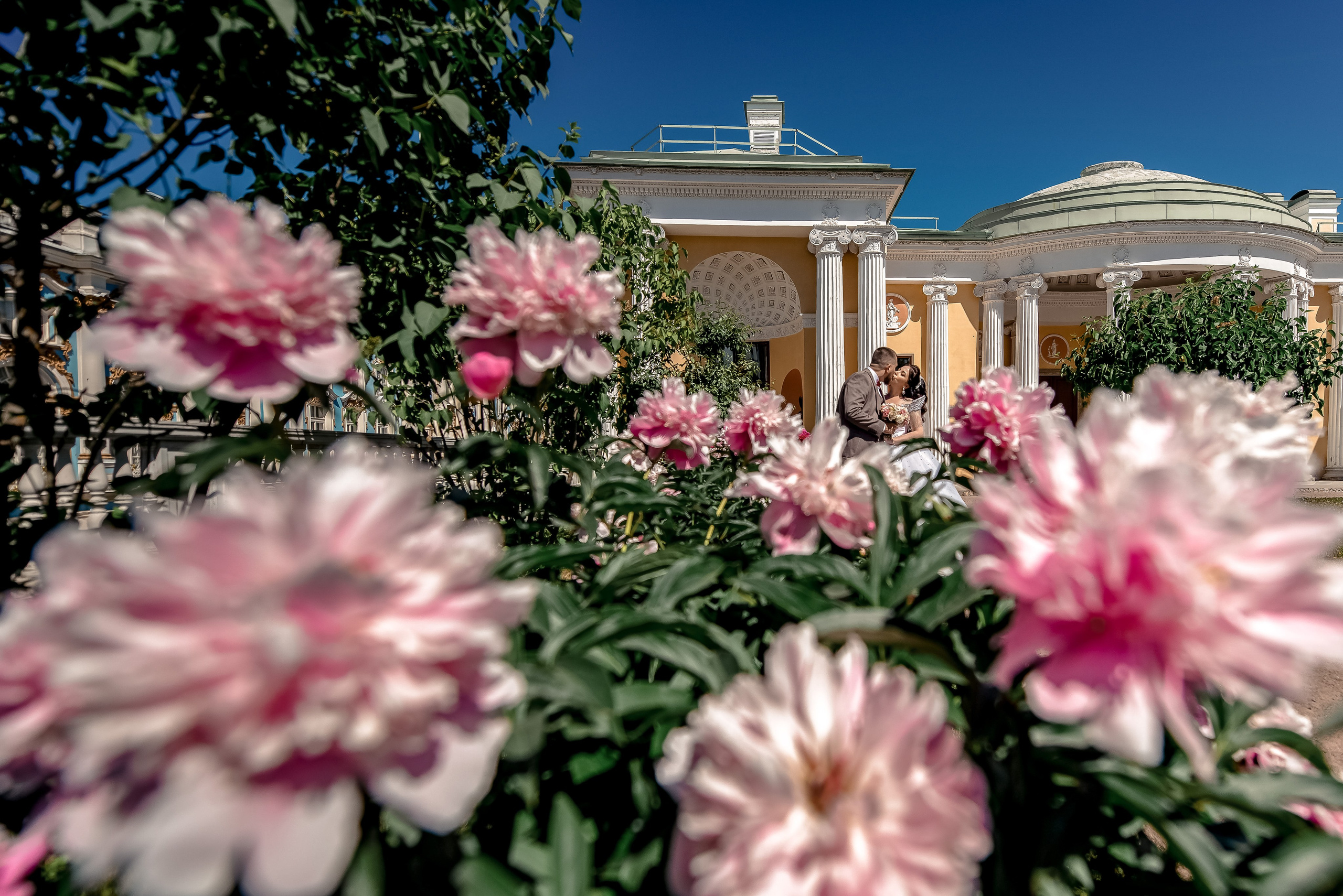 Роскошная свадебная прогулка элегантной пары в царском парке Пушкина на фоне Екатерининского Дворца в распустившихся нежных пионах.