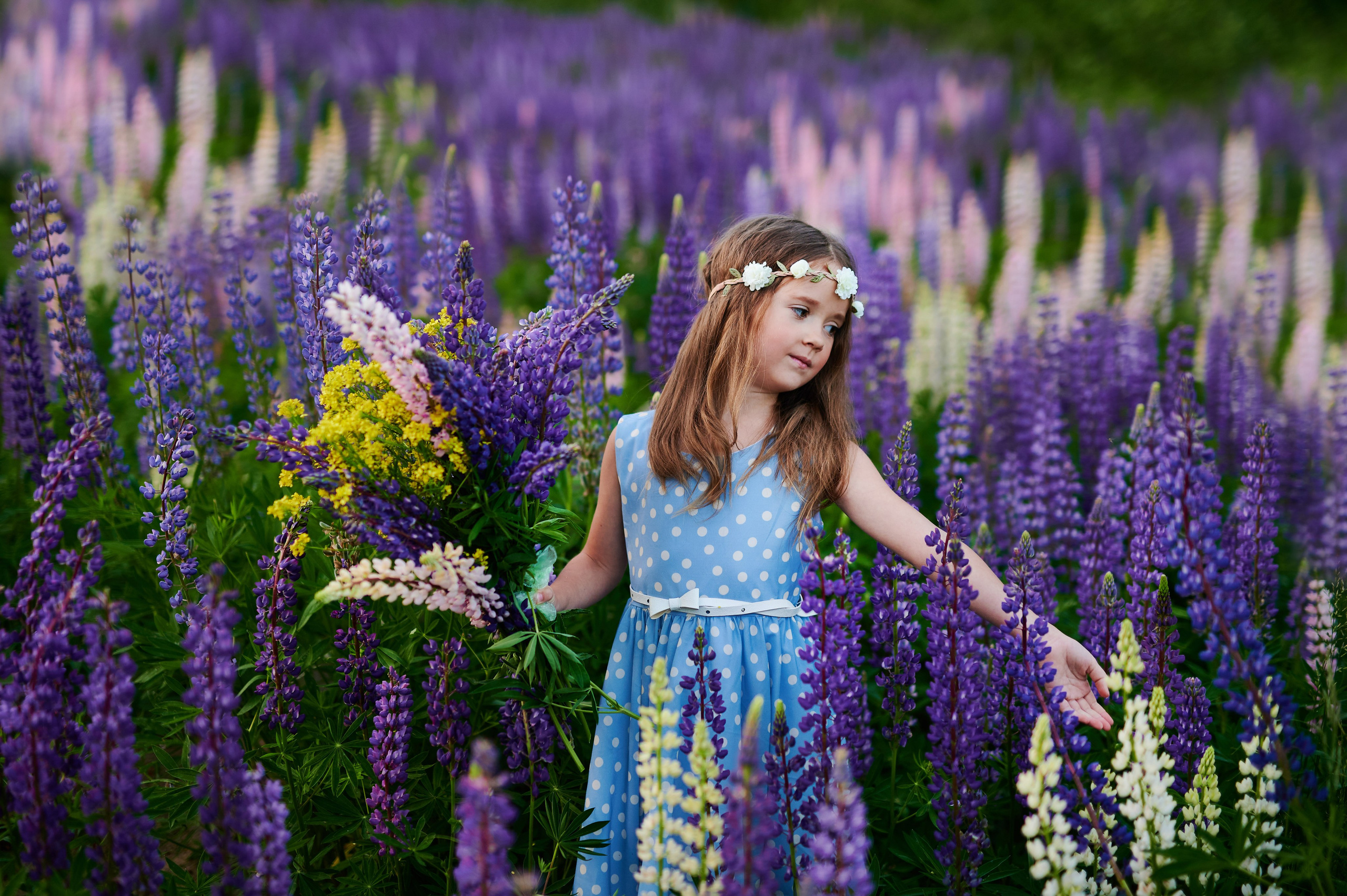Счастье в люпинах. Портретный, семейный и свадебный фотограф в Санкт-Петербурге и в Пушкине Ширяев Денис