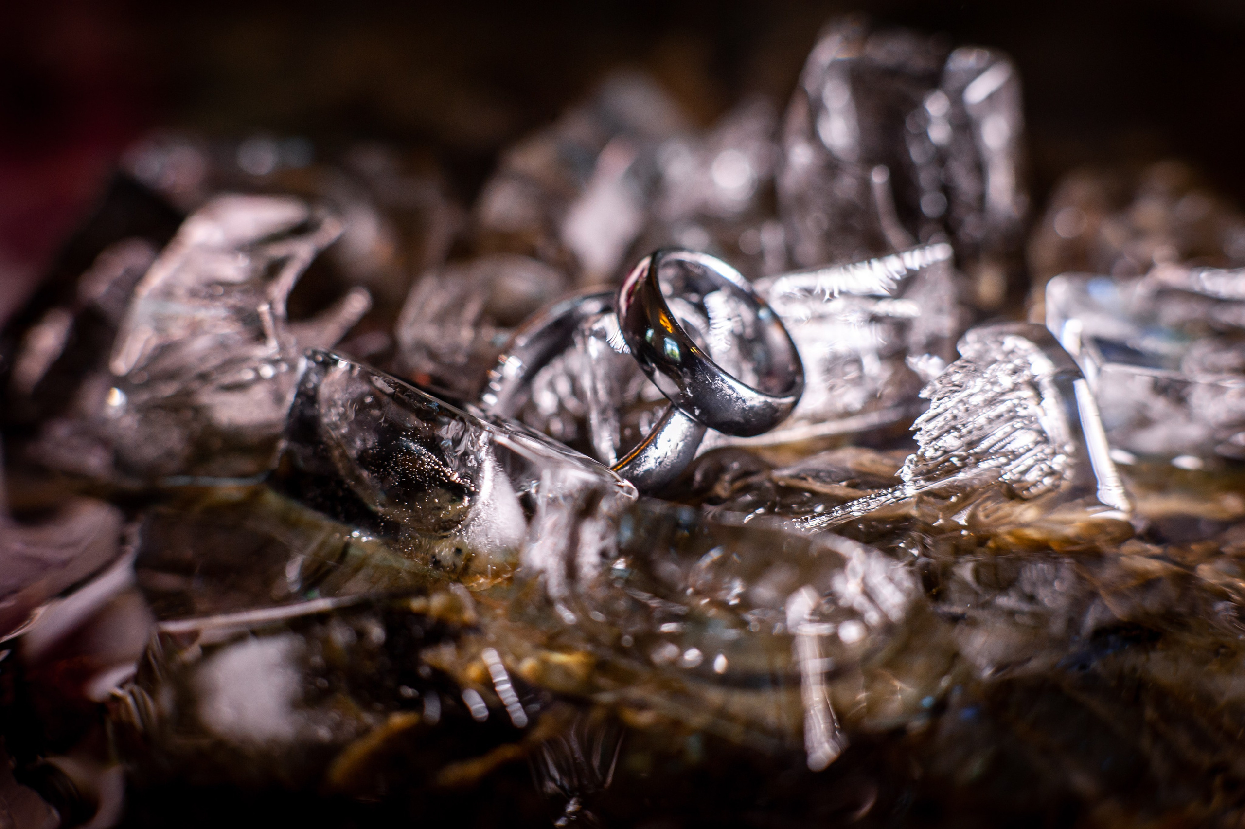 Юлия и Денис (фотосессия на Витебском вокзале и в Польском саду). Портретный, семейный и свадебный фотограф в Санкт-Петербурге и в Пушкине Ширяев Денис