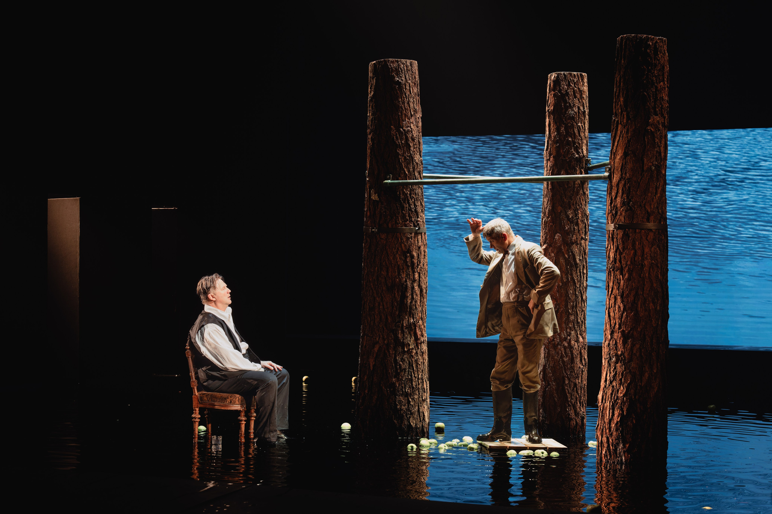 Театр Маяковского: Лес. Сайт фотографа Сергея Абрамова