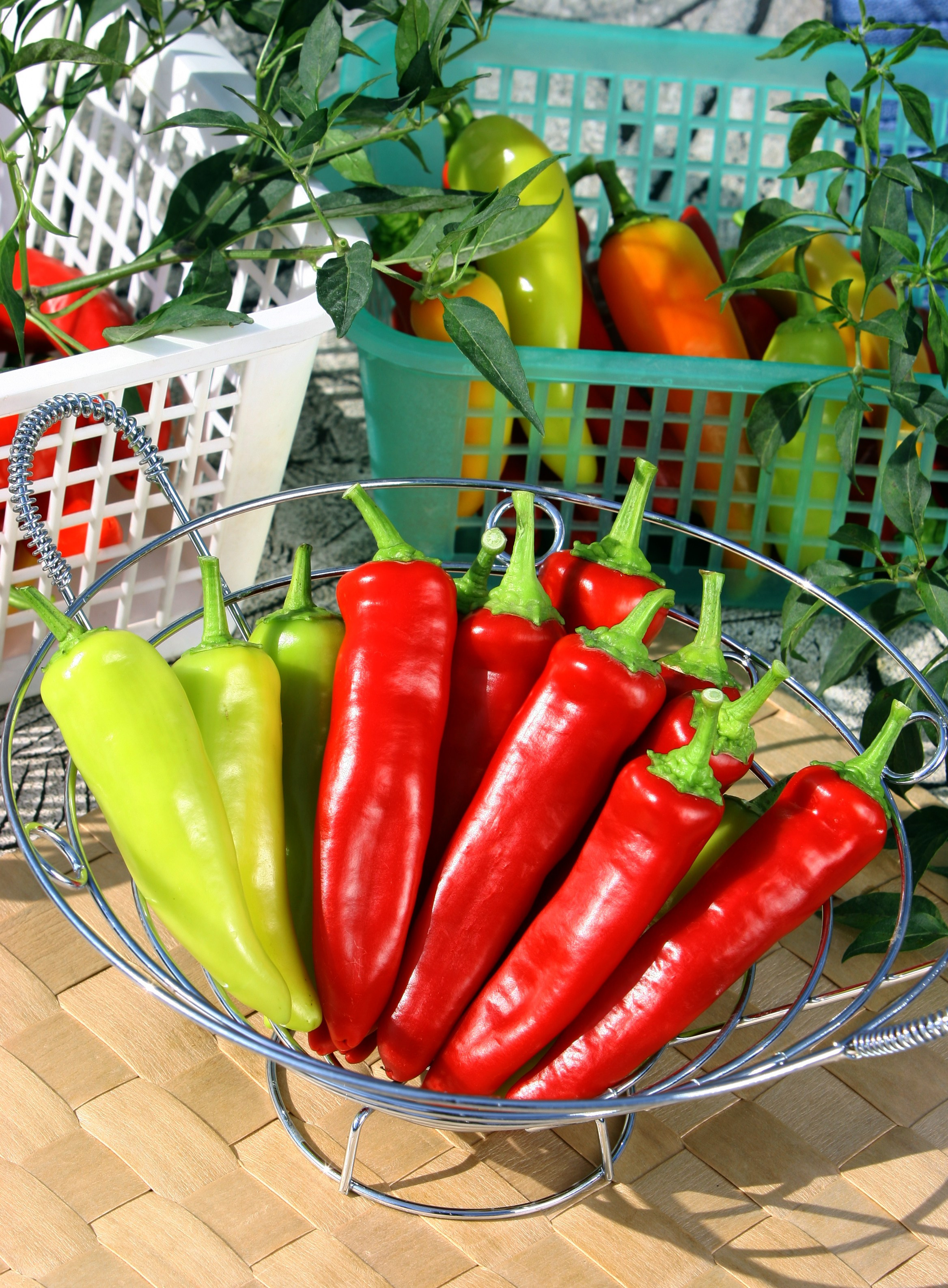 Product photography. The Website of the Photographer Vitaly Deni