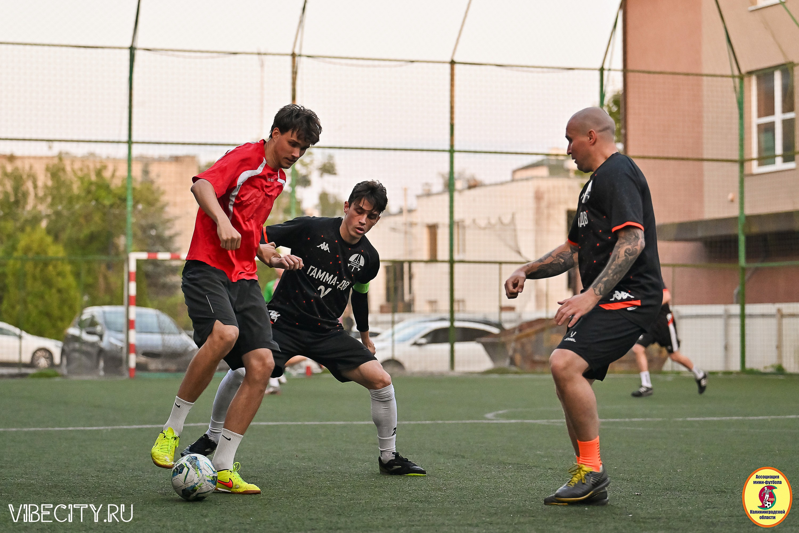 ИГРЫ ПЛЕЙ-ОФФ ПЕРВОГО ДИВИЗИОНА МИНИ-ФУТБОЛЬНОЙ ЛИГИ. VIBECITY.RU Вайб Сити Ру Фоторепортажи Фотоотчеты Калининград