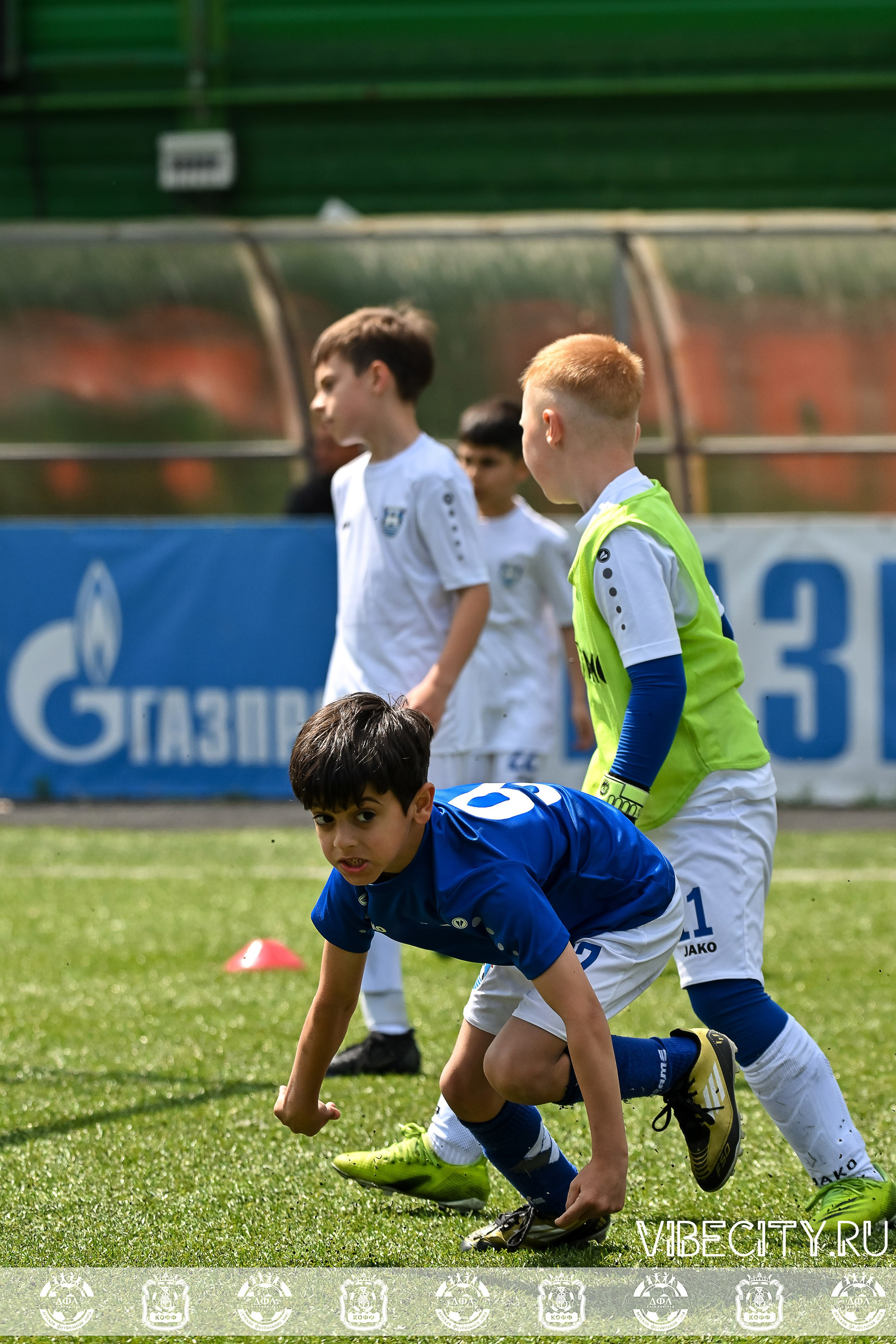 Большие Звезды светят Малым. VIBECITY.RU Вайб Сити Ру Фоторепортажи Фотоотчеты Калининград