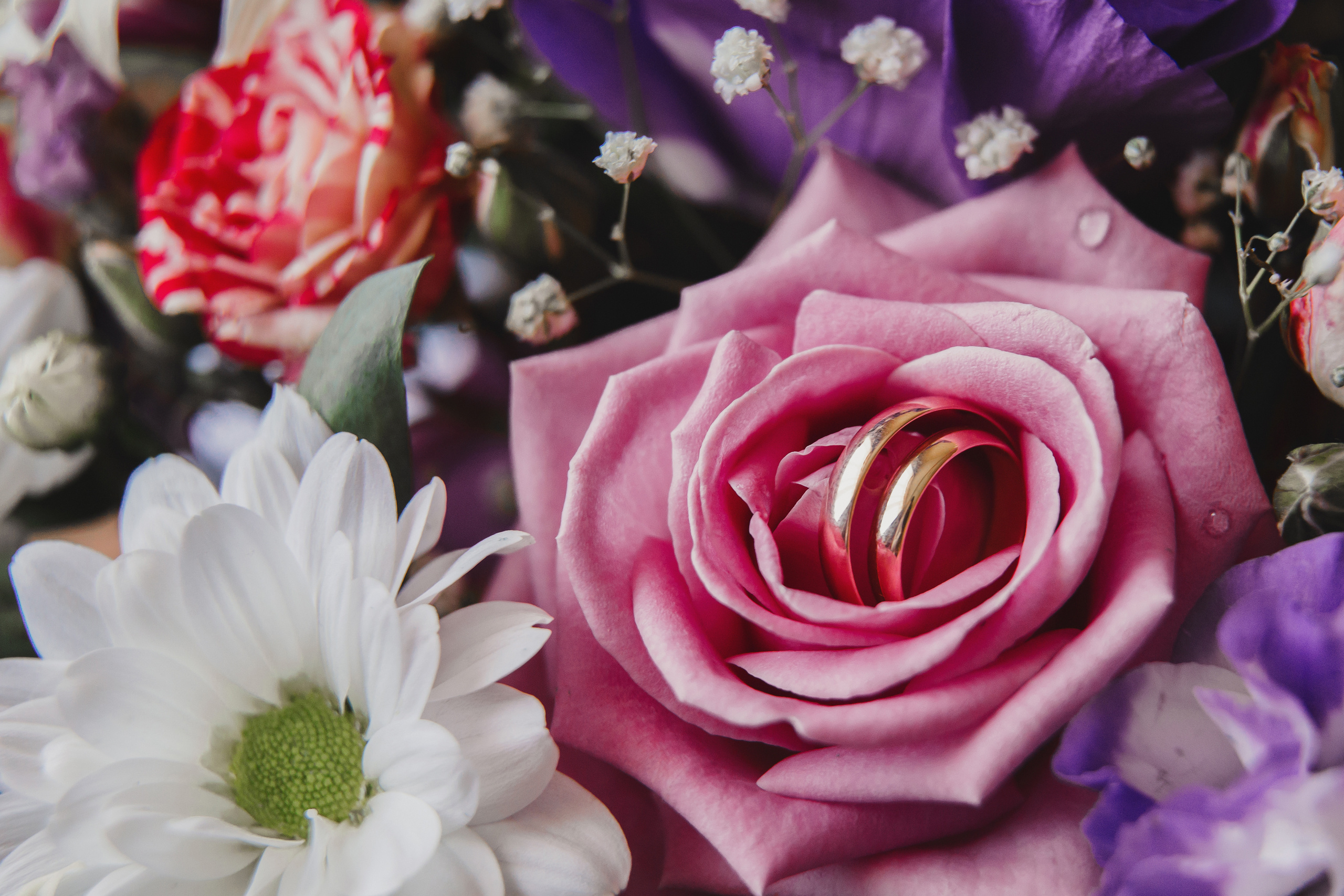 Ринат и Светлана. Свадебный фотограф   Набережных Челнов  Олег Новиков