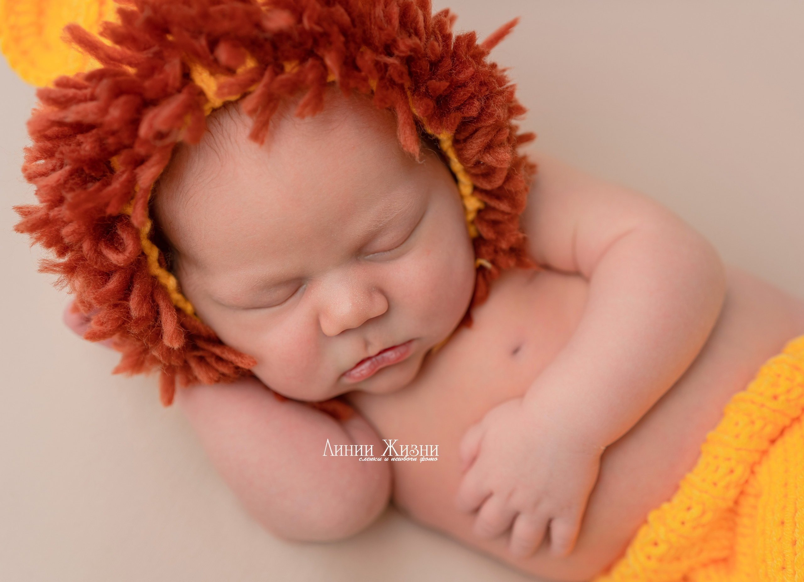 Лев 10 дней. Фотограф новорожденных в Нижнем Новгороде Сергеева Оксана