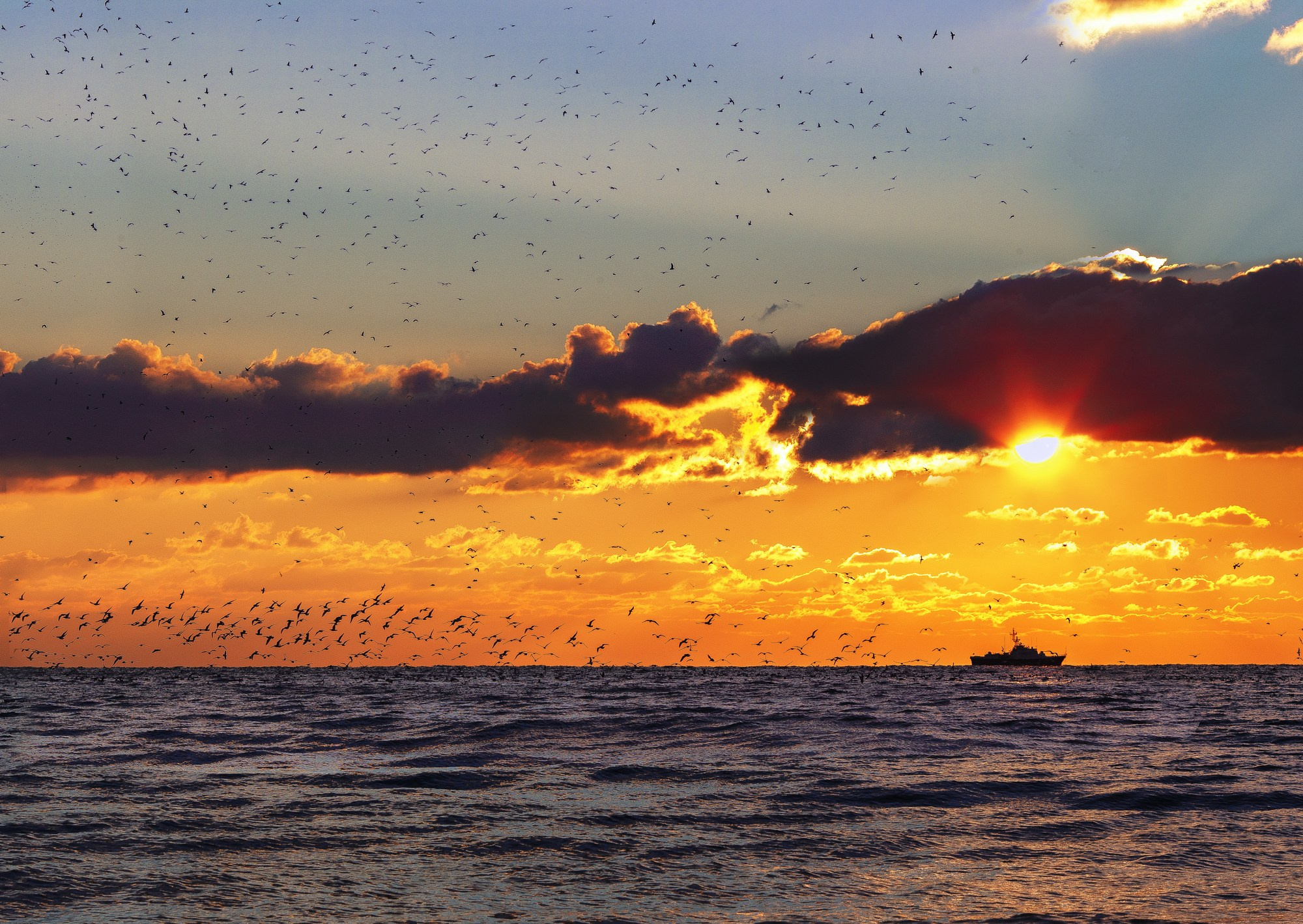 Море и серферы. Репортажный и постановочный Наталья Санникова