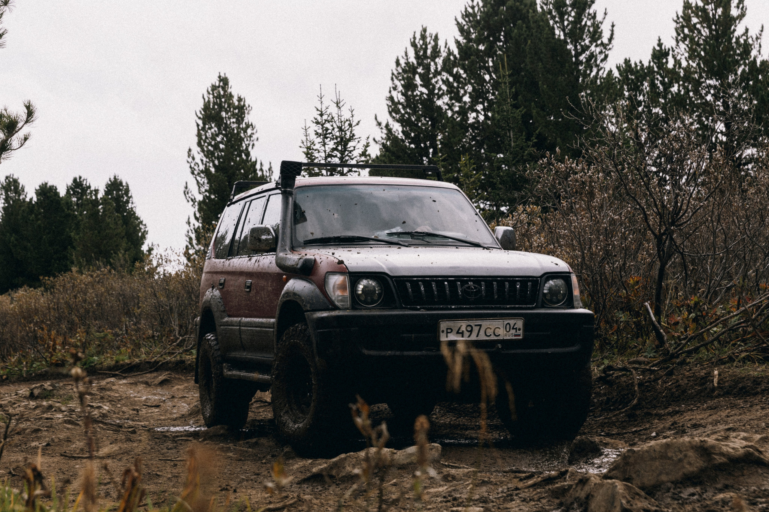Алтай, природа и эстетика. Александр Чернин. Семейный и событийный фотограф