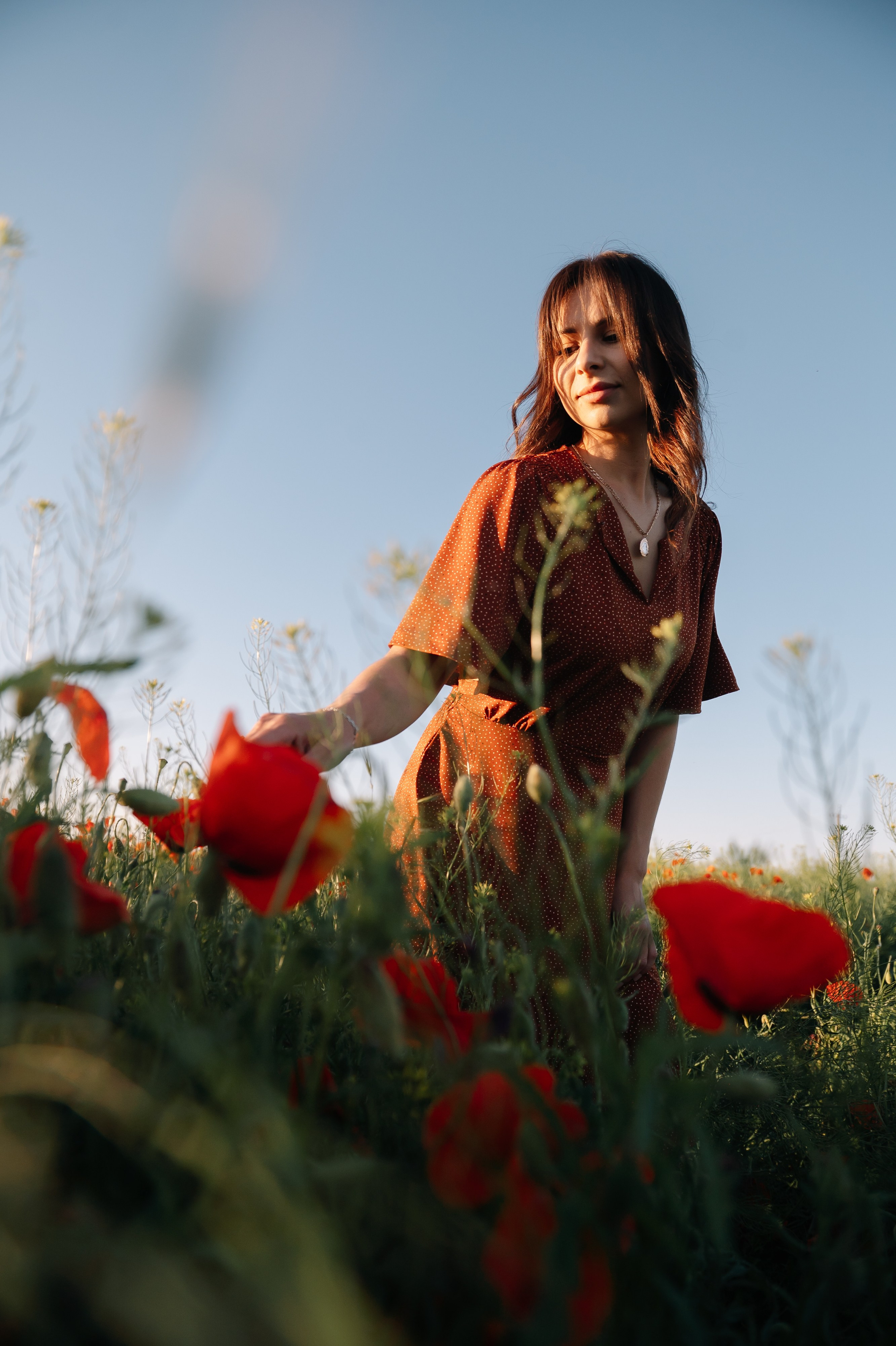 Маки. Фотограф Красногвардейское Ставропольский край Белякевич Елена