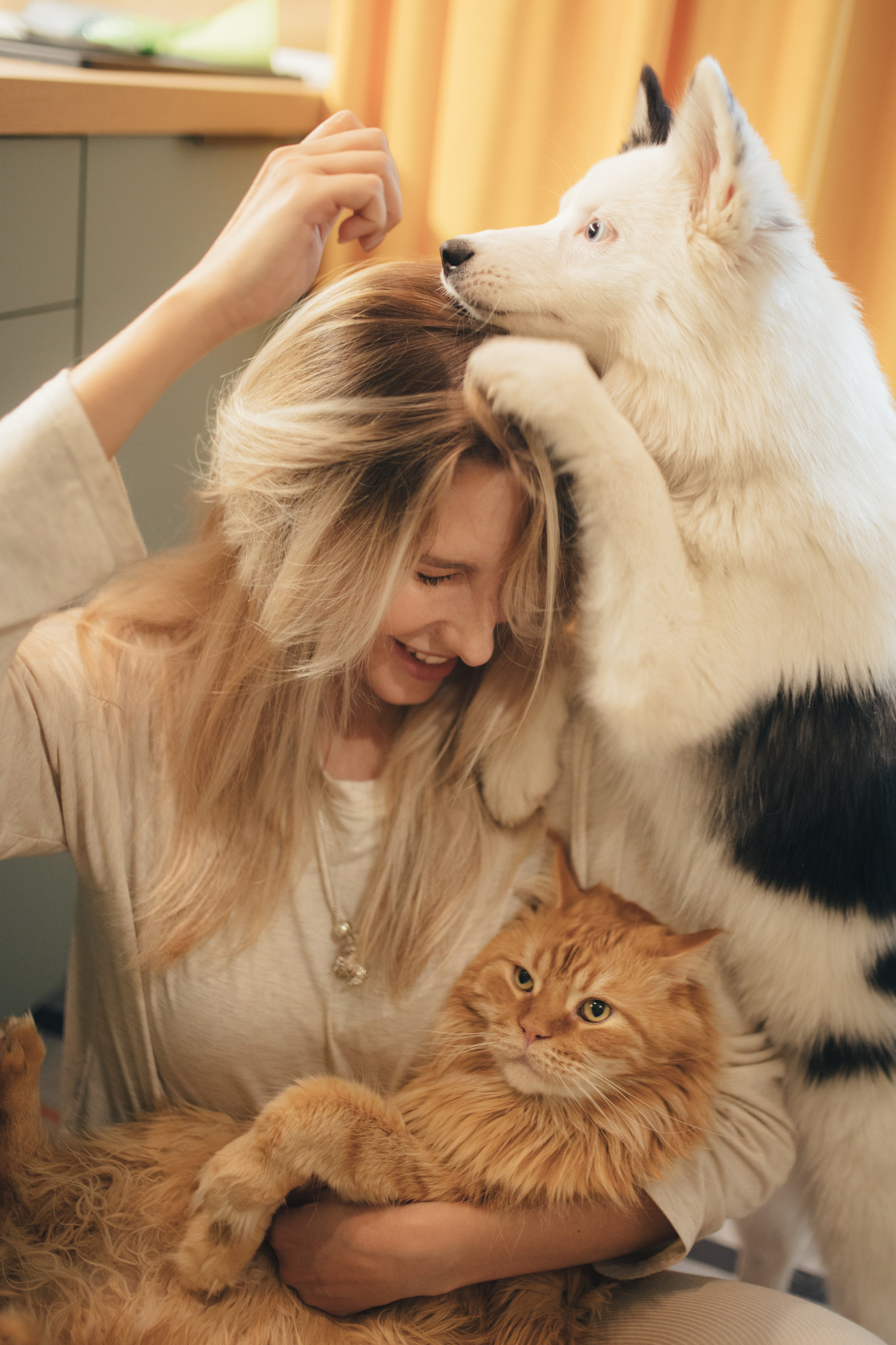 Фотосессии с собаками. Главная