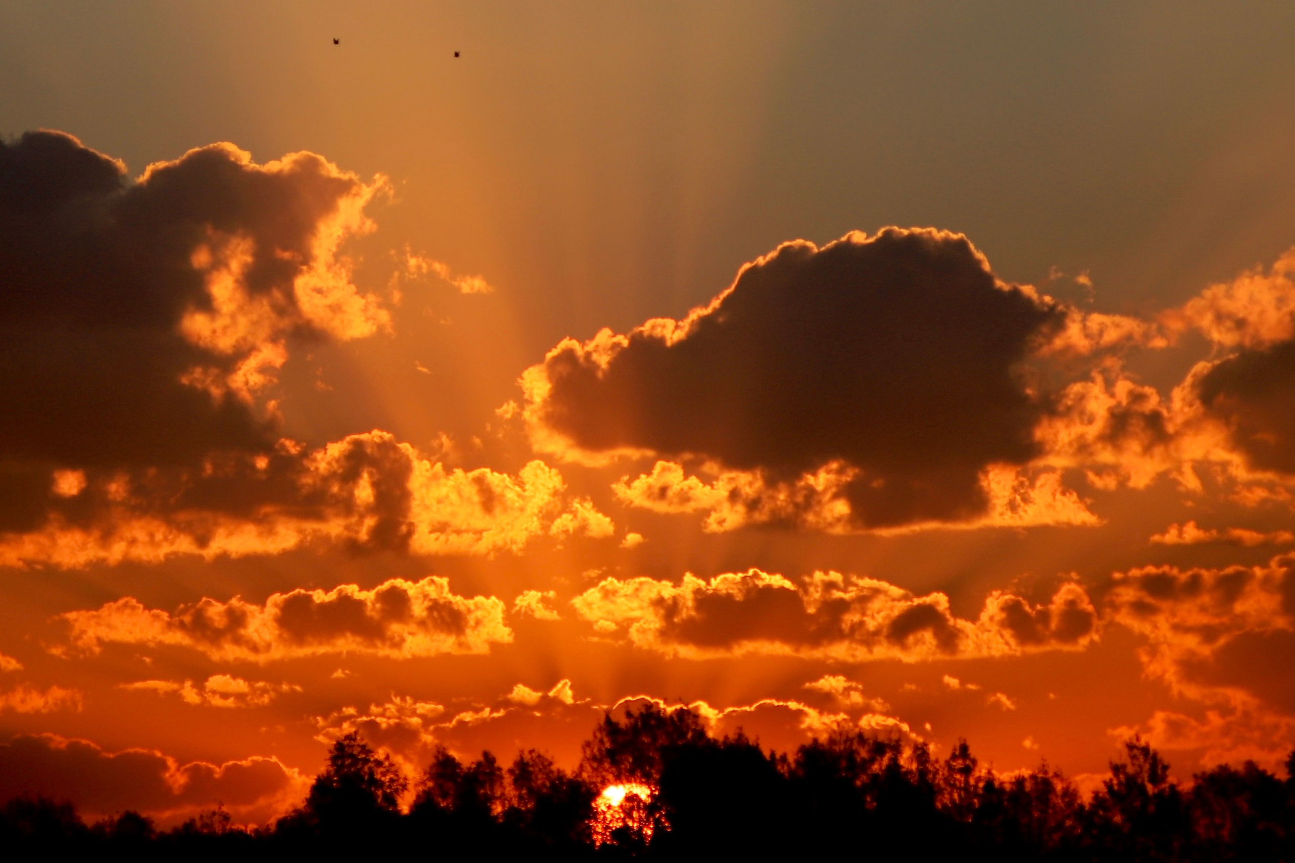 Природа. Фотограф Ольга Мурзина