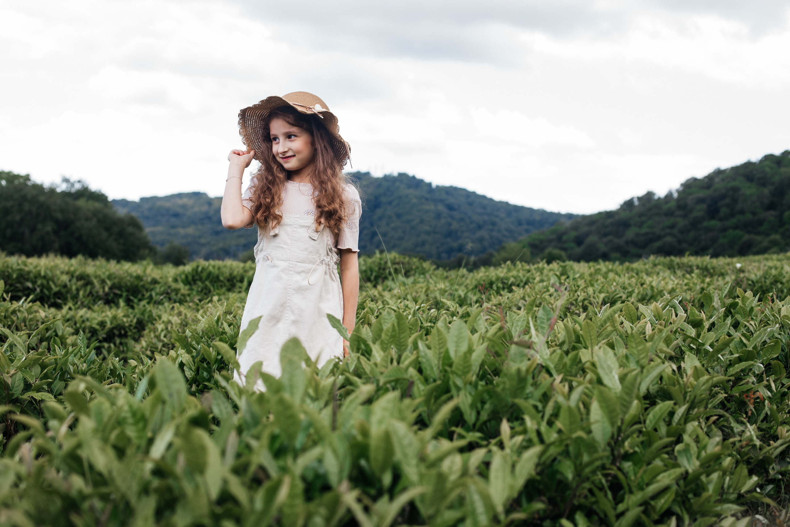 Tea plantation. Efimova Model Agency
