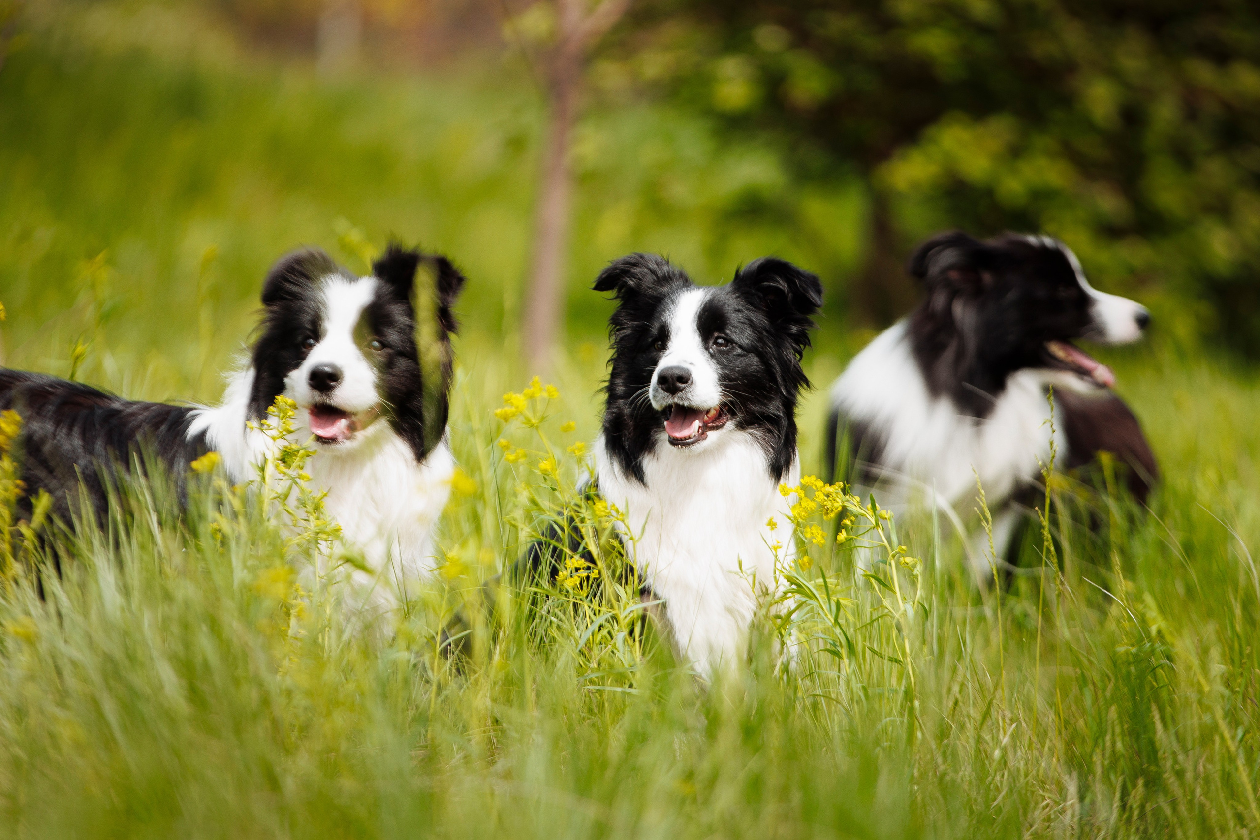 Такой разношерстный Орск 25. О нас