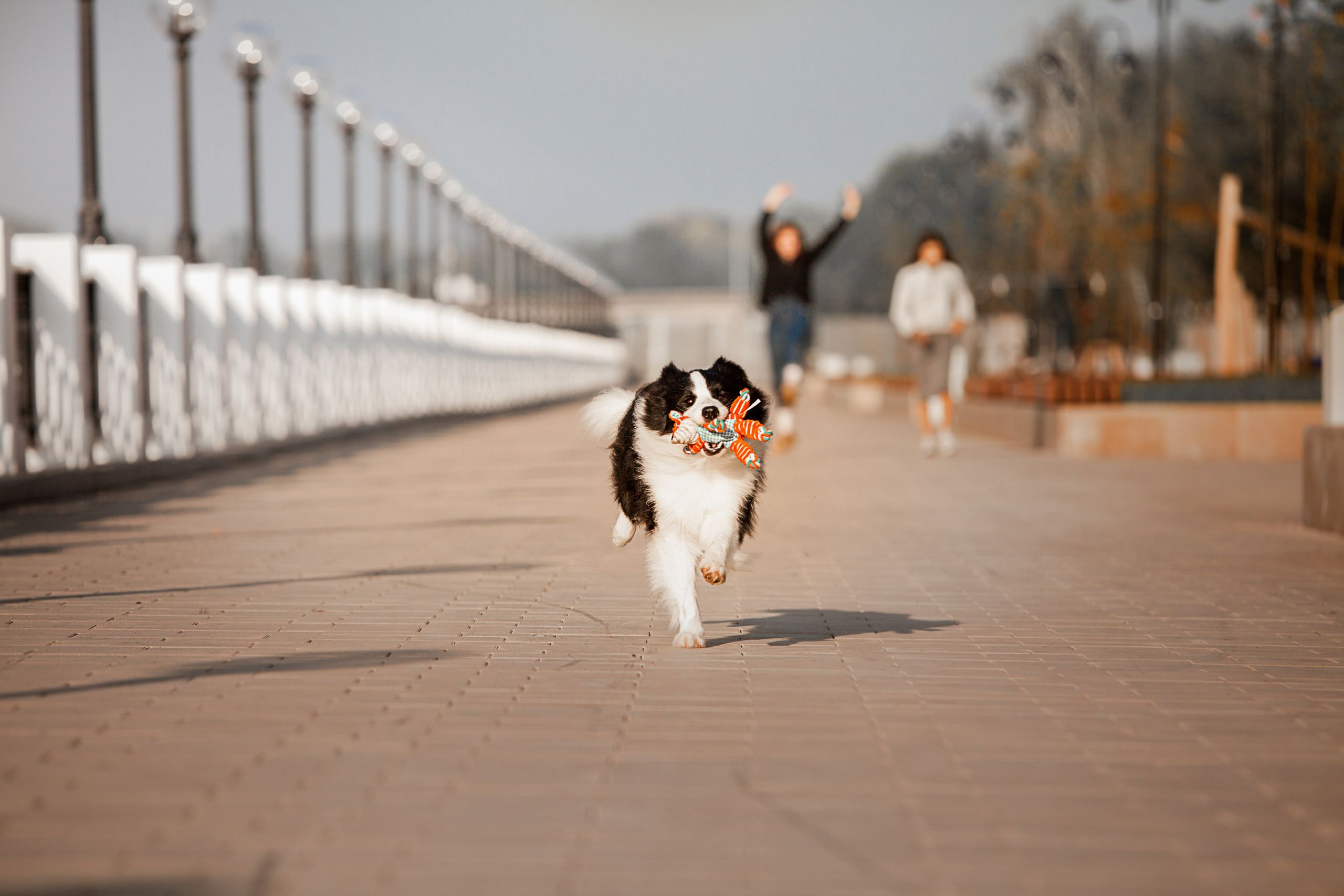 Сочный рассвет, на который решились. О нас