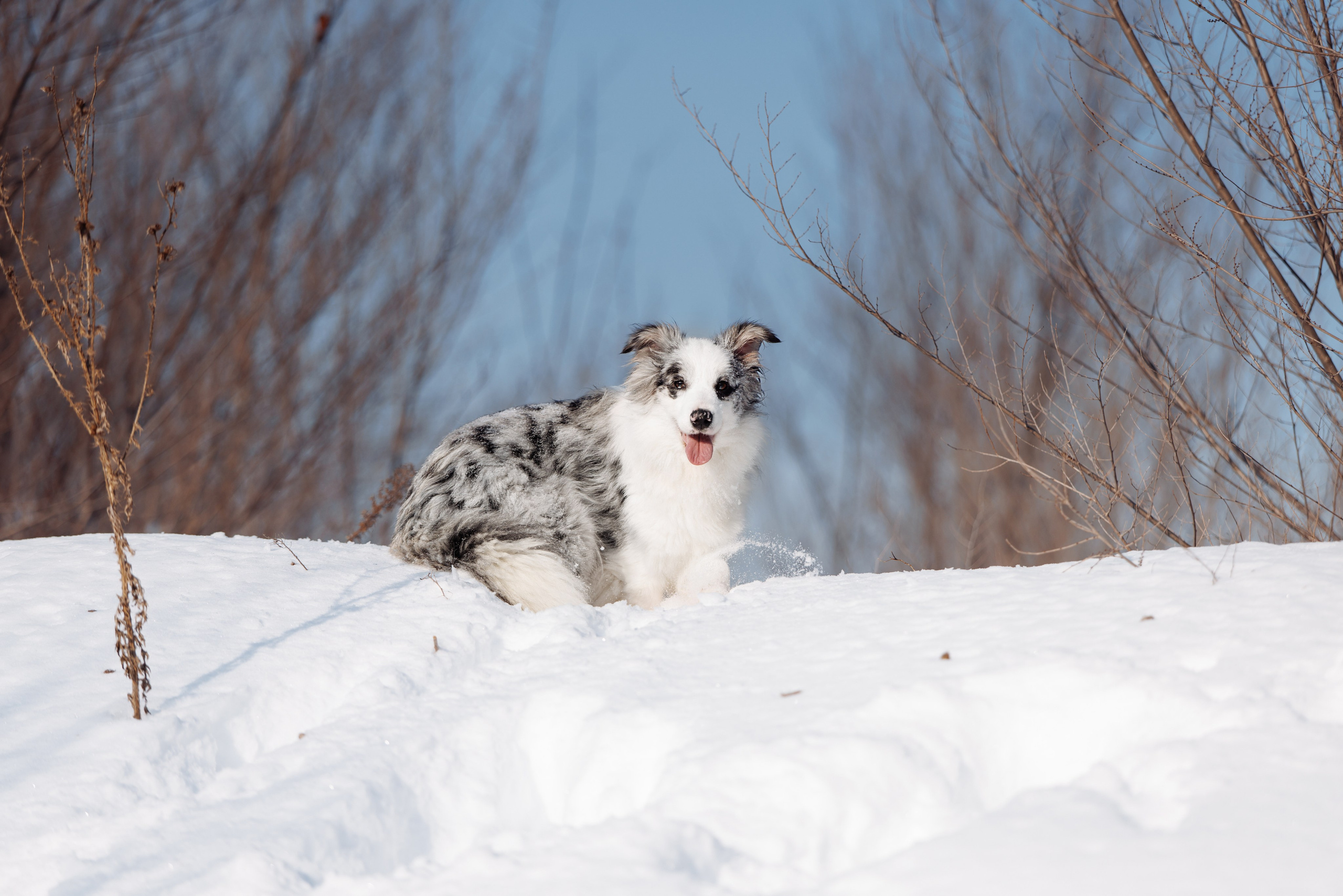 Яркий январь. О нас