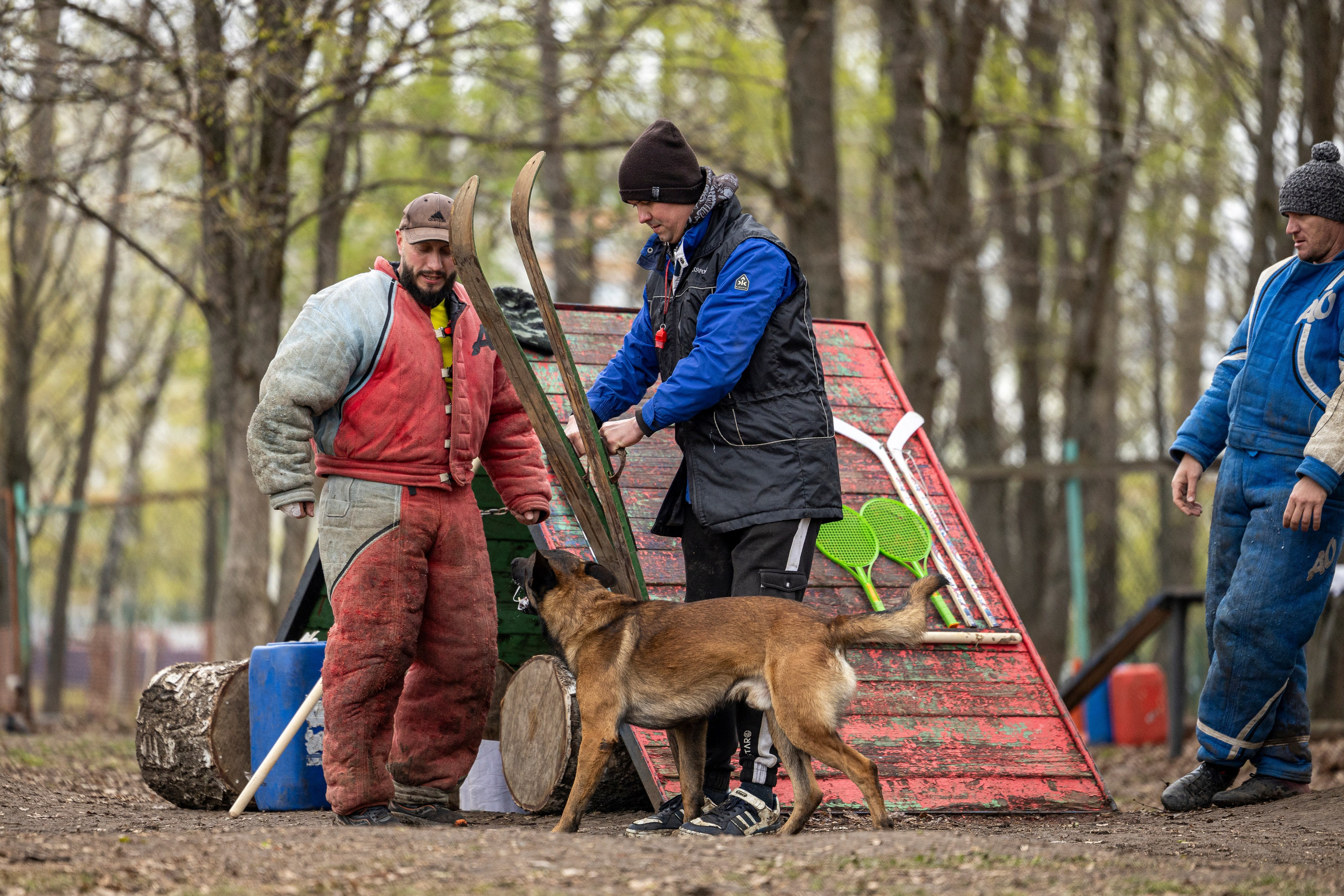 Квалификационные состязания по мондьорингу г. Вологда 11.05.24. Фотограф-анималист Анна Маринич