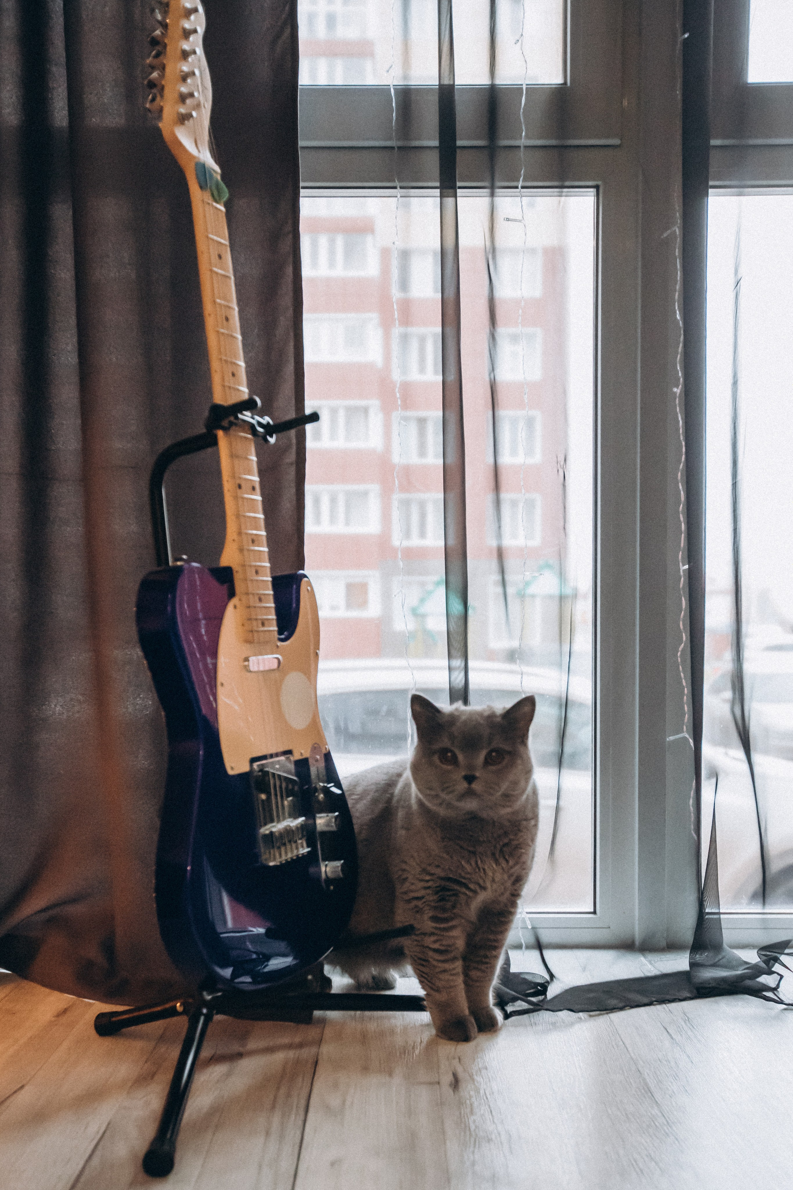 Семья Суворовых. Семейный фотограф Нижневартовск Тюмень Ефимова Ирина