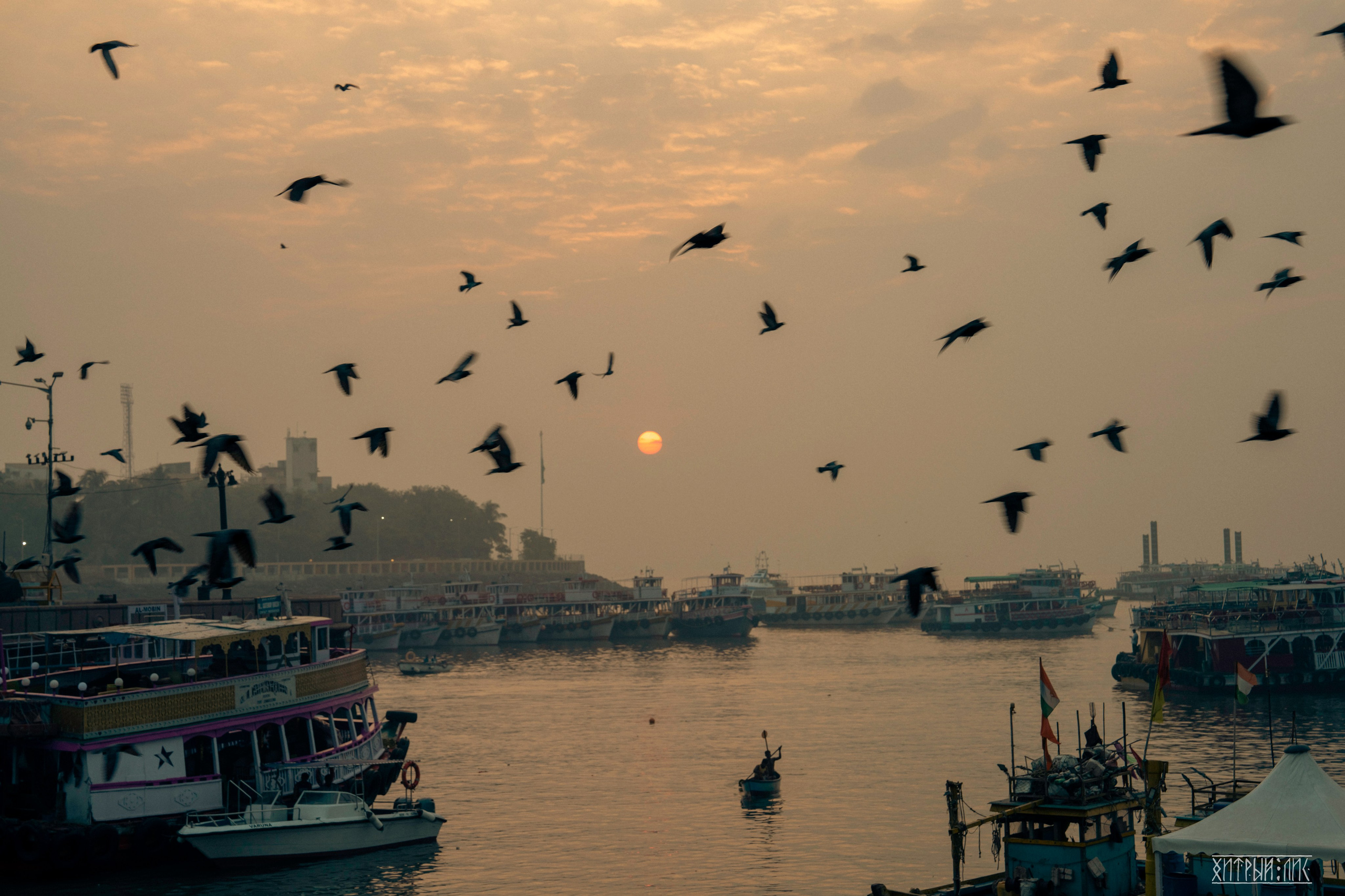 Гоа-Мумбаи. Фотограф-путешественник Самойлов Максим «Sly Fox»