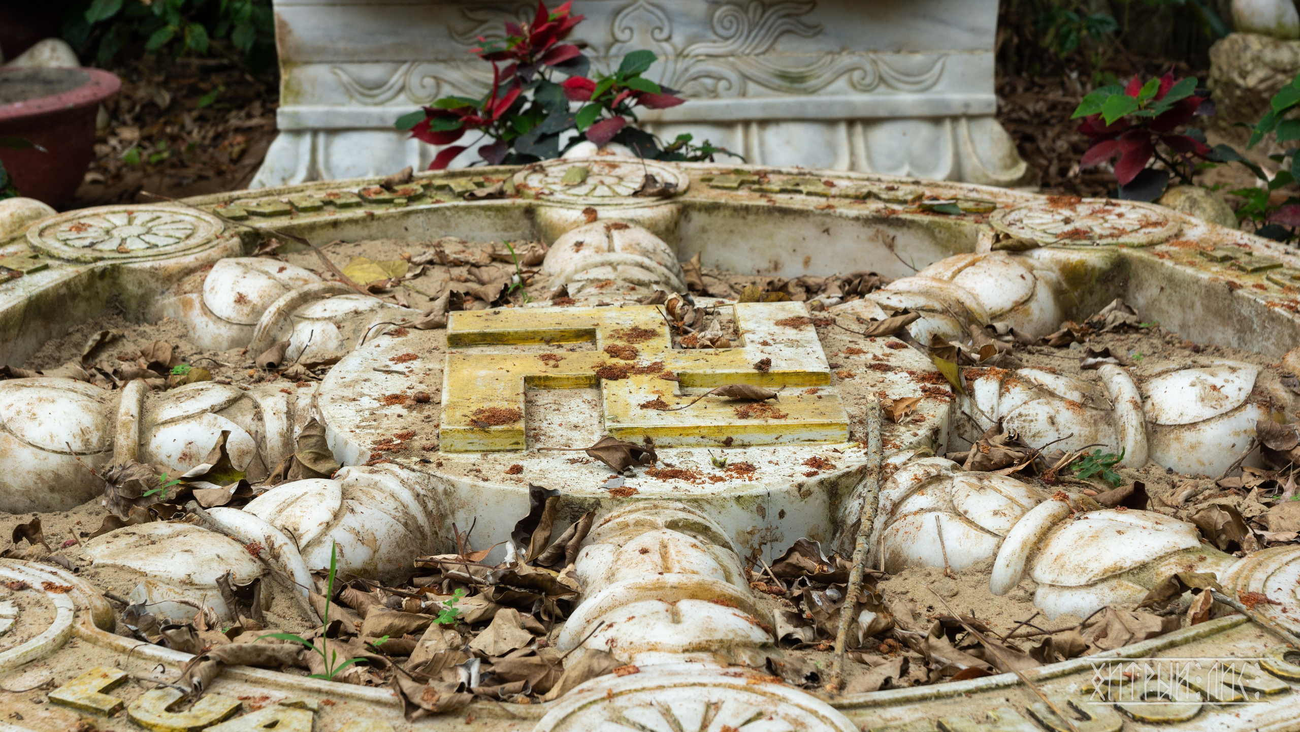 Вьетнам. Фотограф-путешественник Самойлов Максим «Sly Fox»