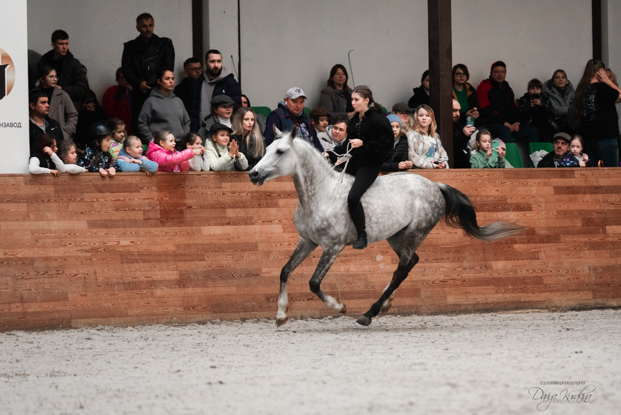 8-я международная выставка Конная Россия. Конный фотограф Куракина Дарья • Фотосессии с лошадьми