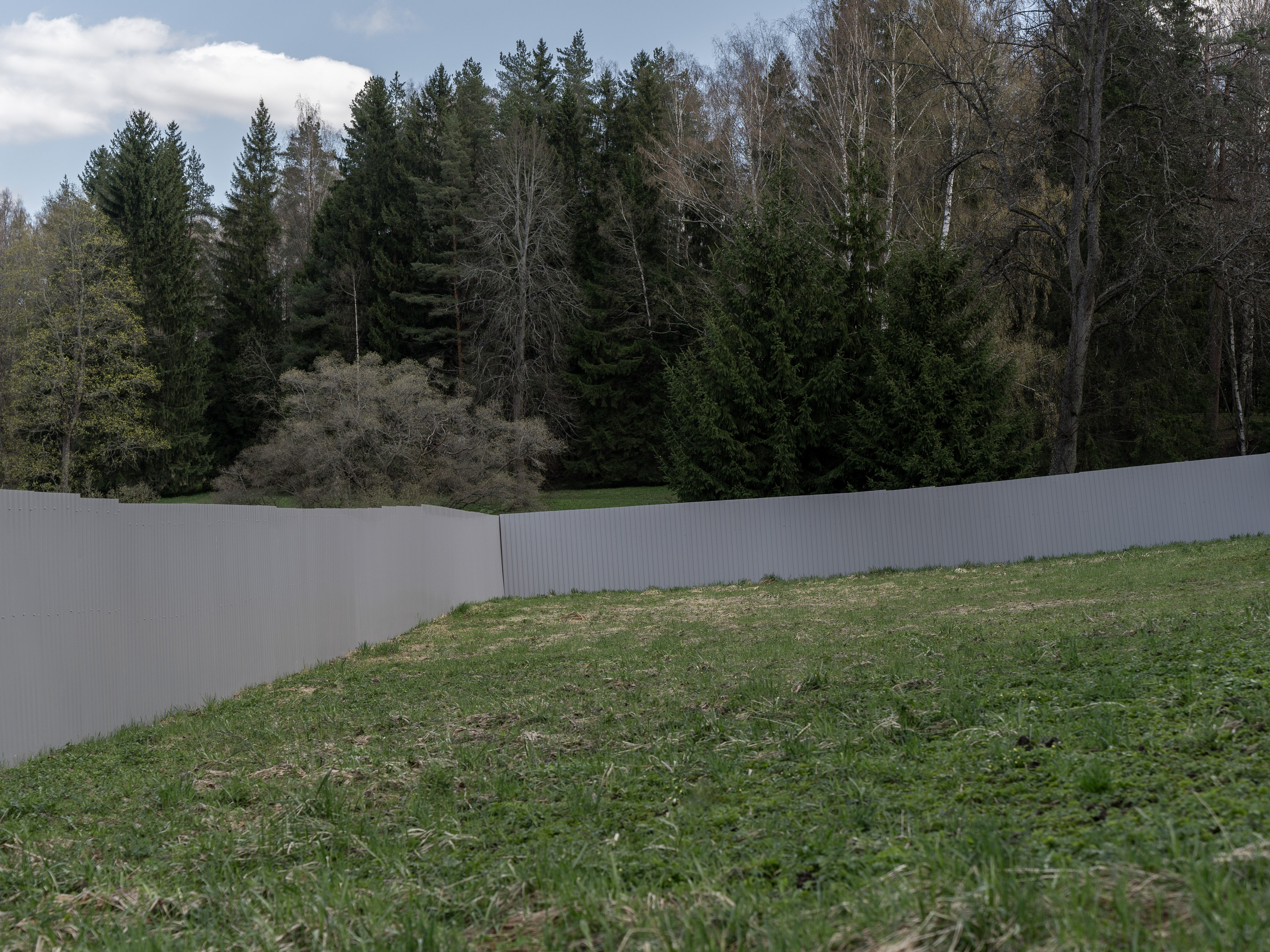 Фотографии. Ксения Доможилова