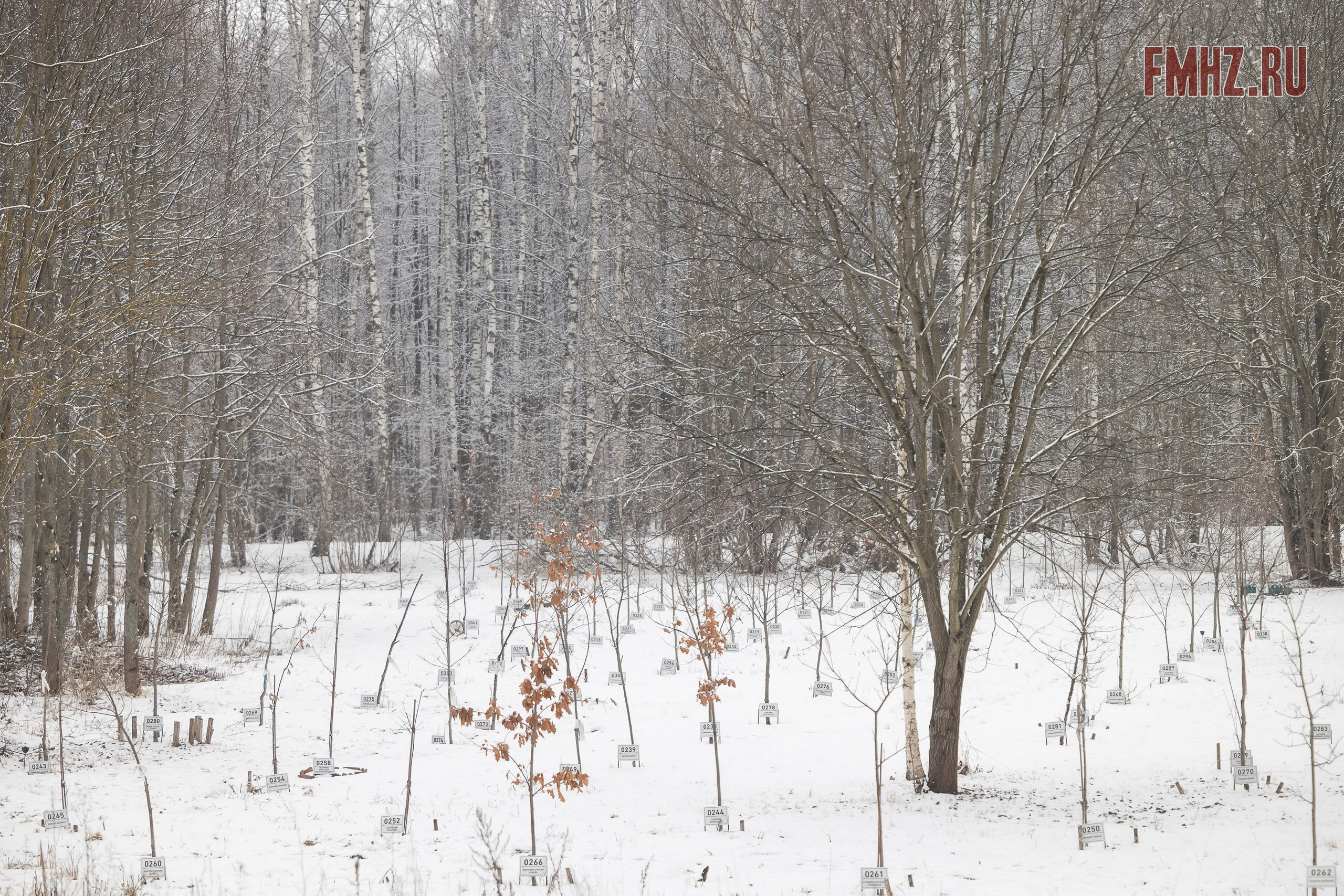 Масленица на аллее памяти «Вечный сезон» 02.03.2025. Фотограф Владимир Охрименко