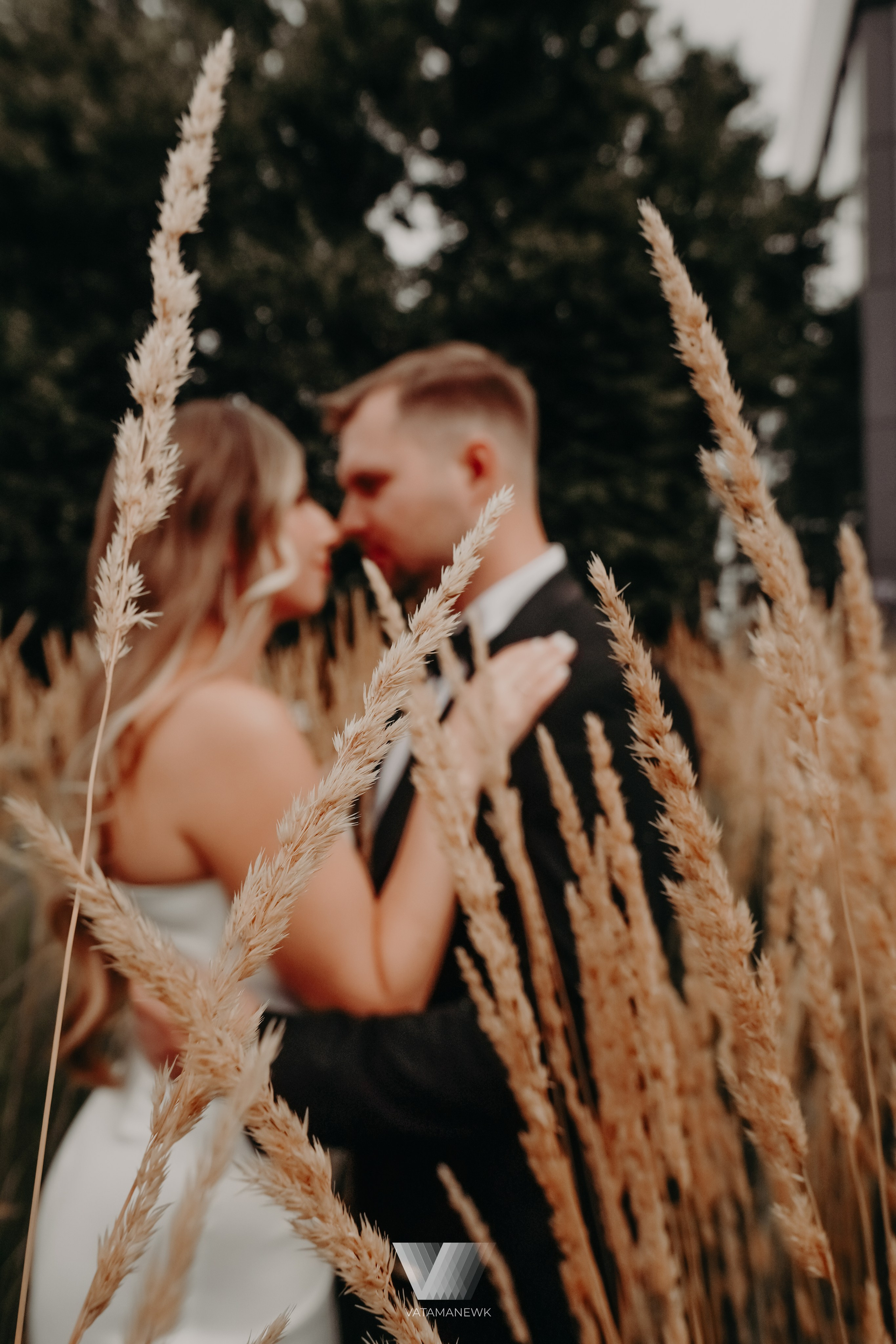 Классика. Фото | Видео Контент Мишель Ватаманюк