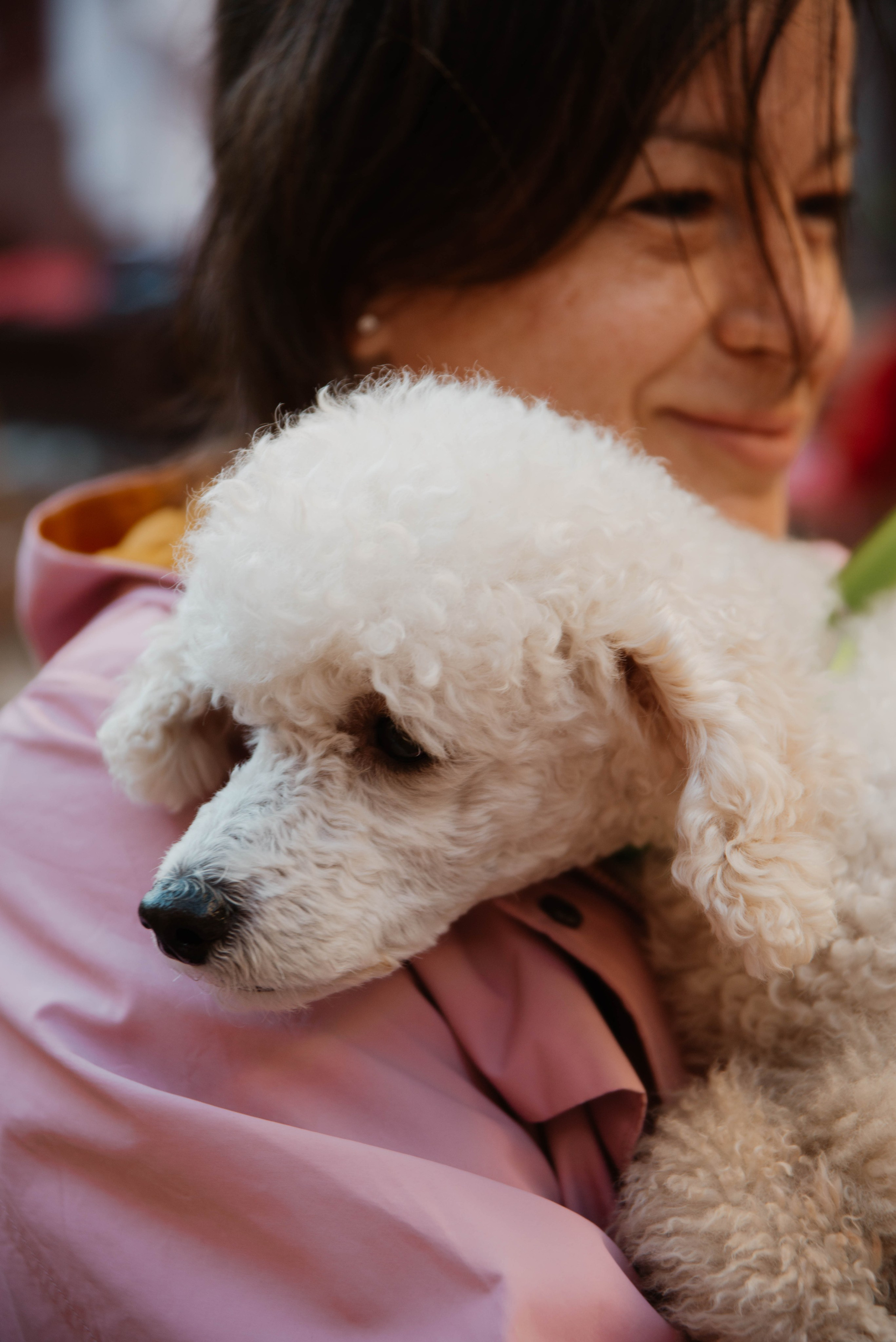 Дог-вечеринка на летнике «Кутёж». Ксения Glossa. Портретный и репортажный фотограф в Самаре