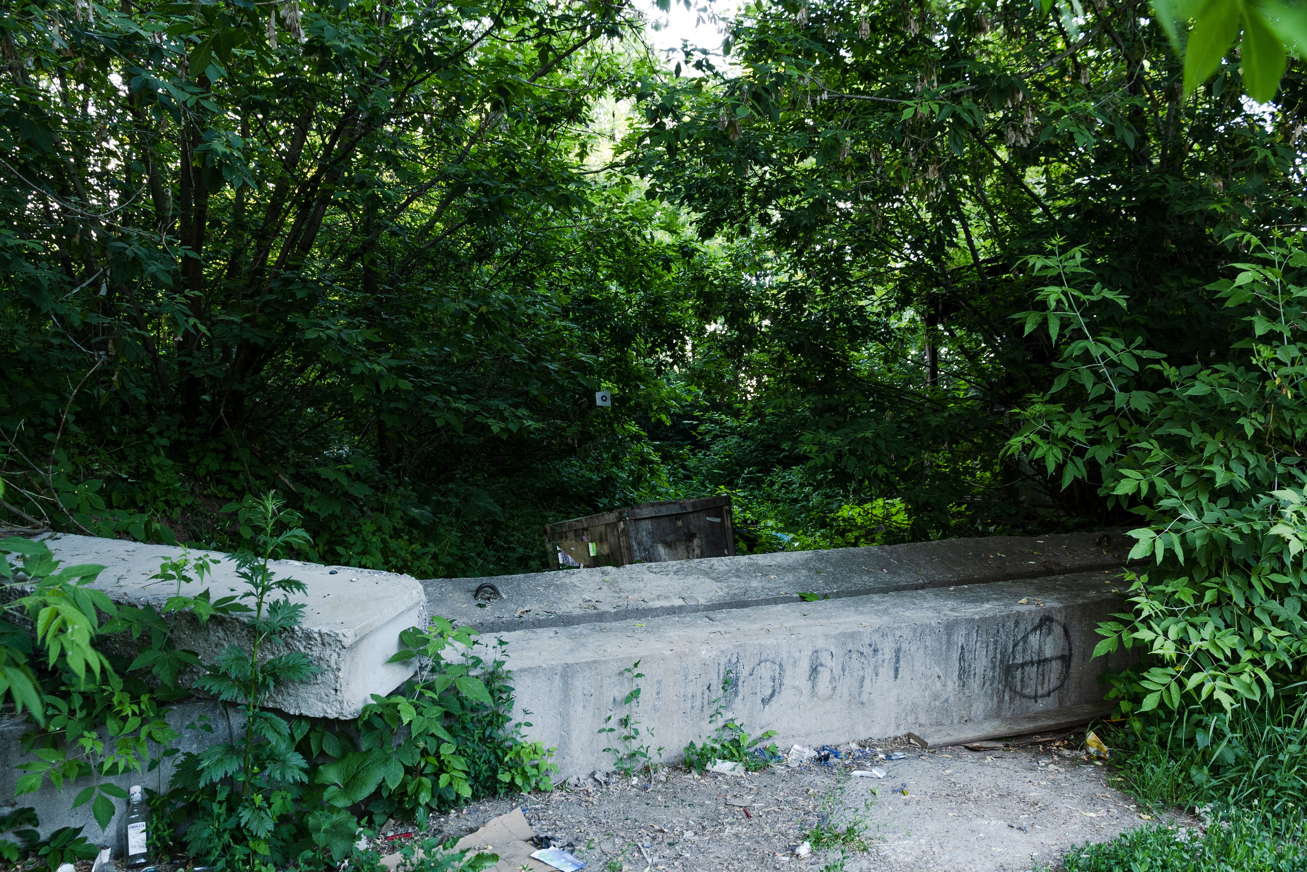 Открытый мир. DASHA KALNINA