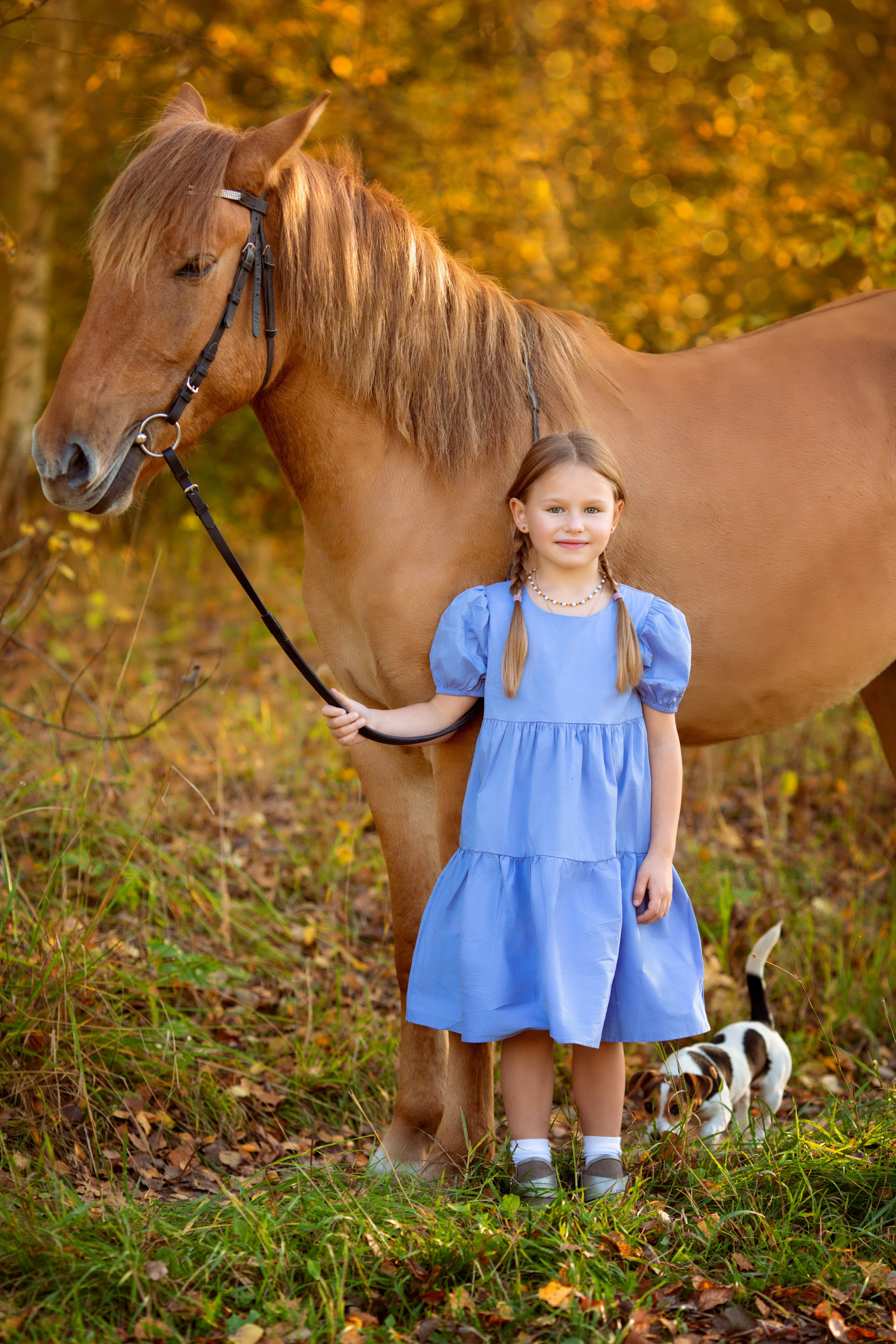 Анечка с лошадкой. Фотограф Антонина Свешникова. ВЫПУСКНЫЕ ФОТОКНИГИ для детских садов и школ. Москва, Владимир