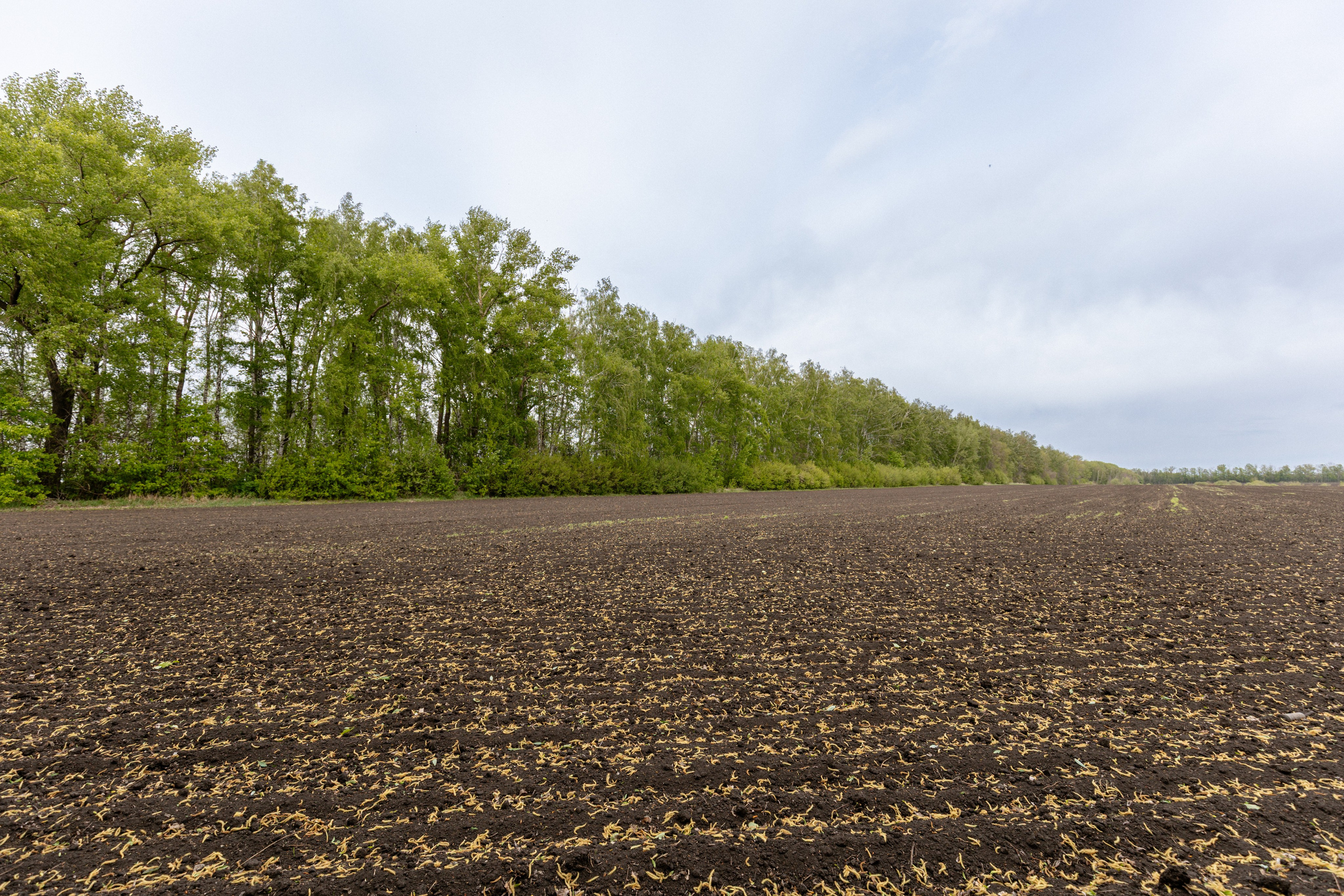 Приусадебный участок. Владислав Волков | Фотография и видеосъемка в Воронеже