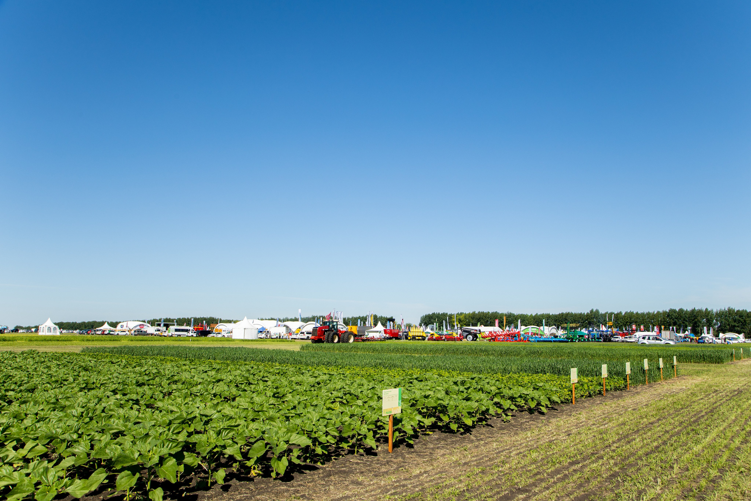 День Поля 2022. Владислав Волков | Фотография и видеосъемка в Воронеже