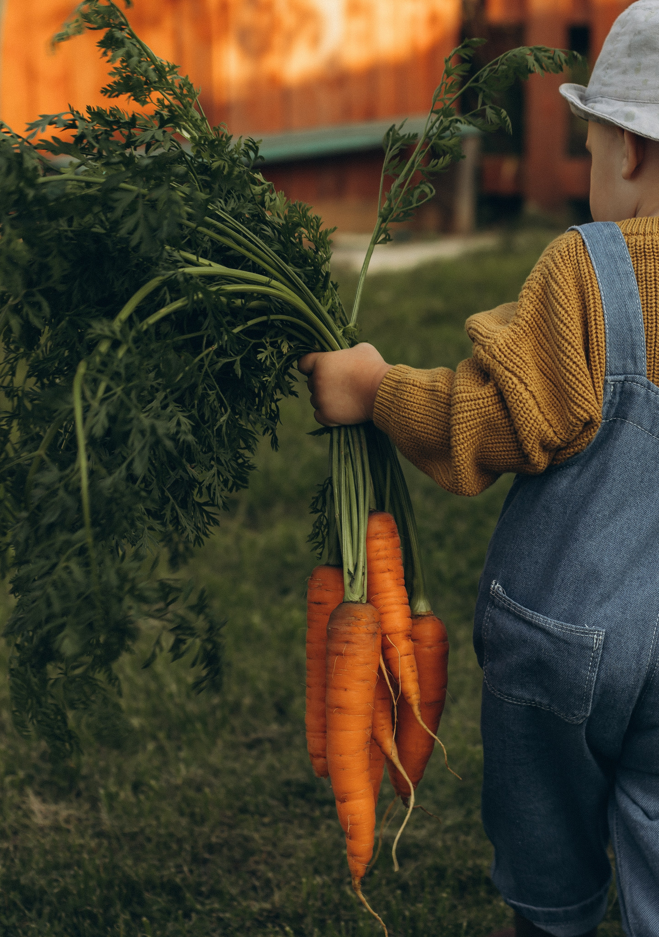 Морковная история 🥕🧡. Услуги