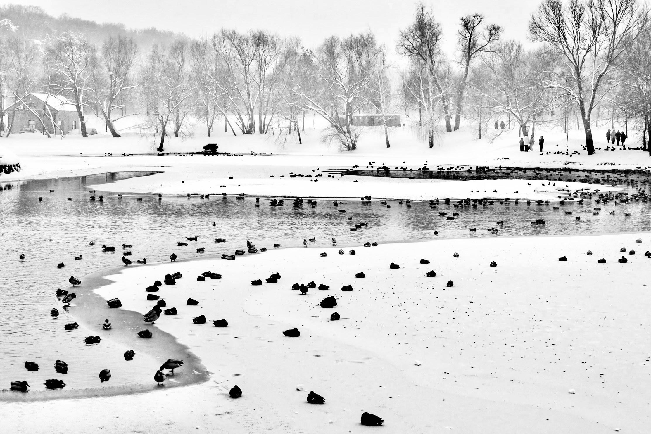 Чёрно-белая зима 25-26. Фотосессии и репортаж — Фотограф в Москве — Рина Серёгина