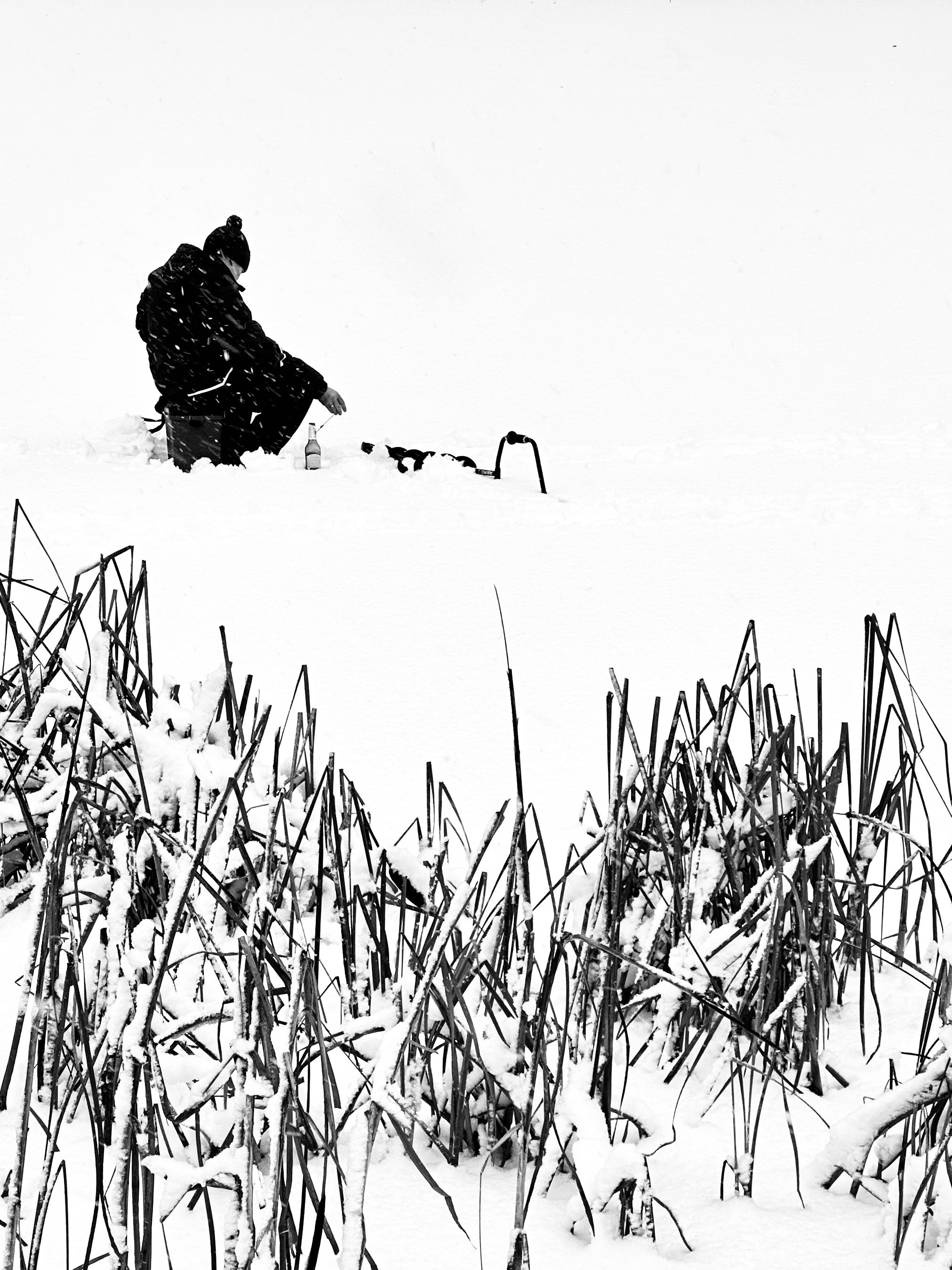 Чёрно-белая зима 25-26. Фотосессии и репортаж — Фотограф в Москве — Рина Серёгина