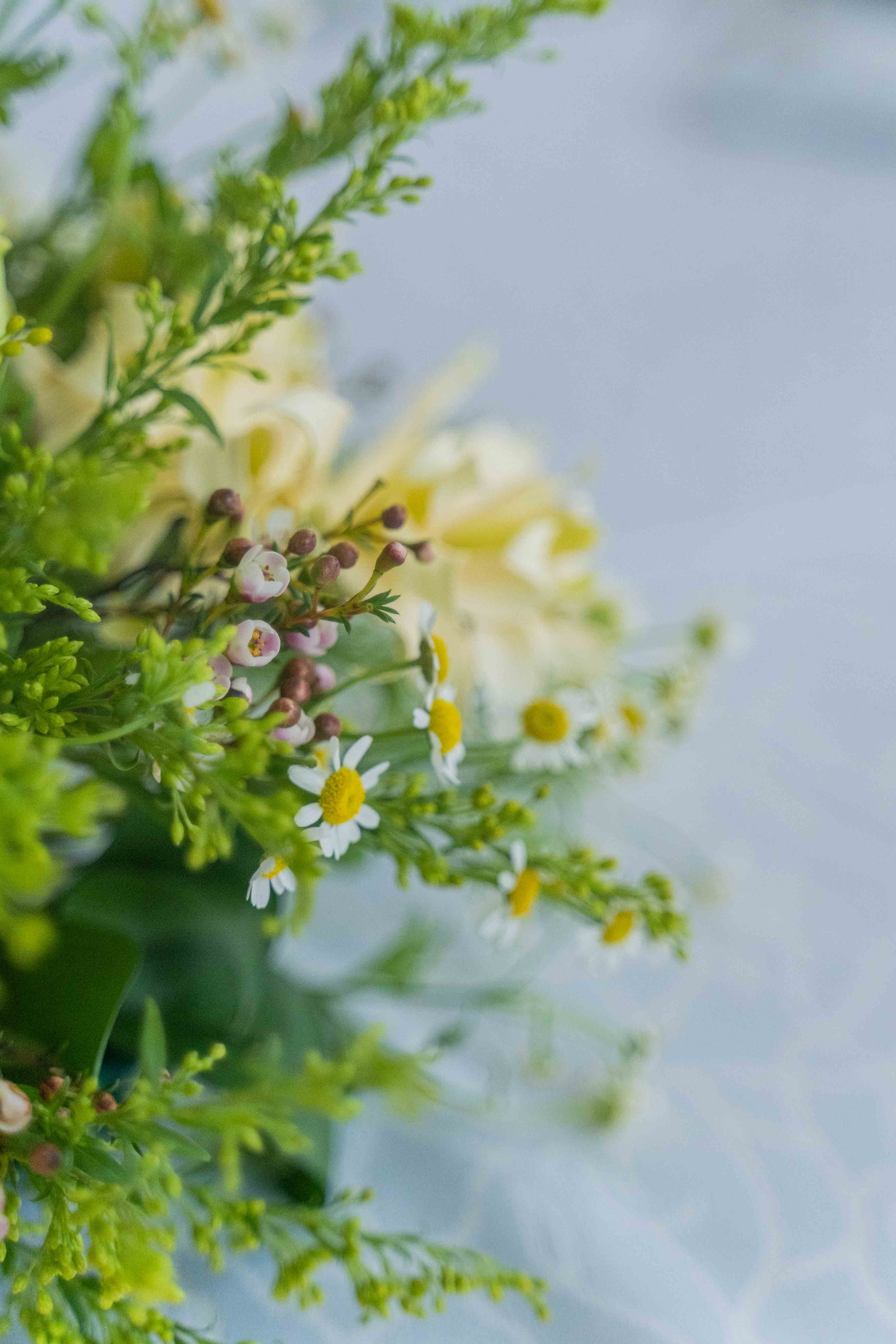 Арабская скромная помолвка дома (приватность на женские лица). Фотограф и видеограф в Москве и Абу Даби Мария Кулагина