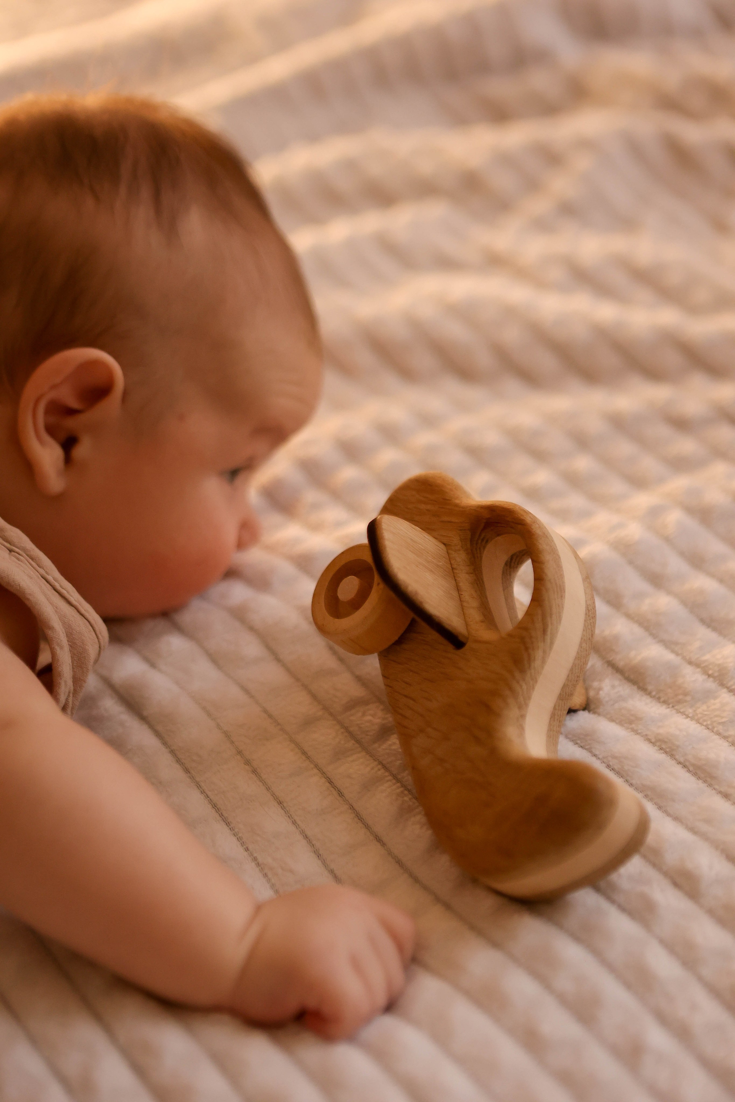 Тимоша. Наталья Косьянова. Ваш фотограф. Москва