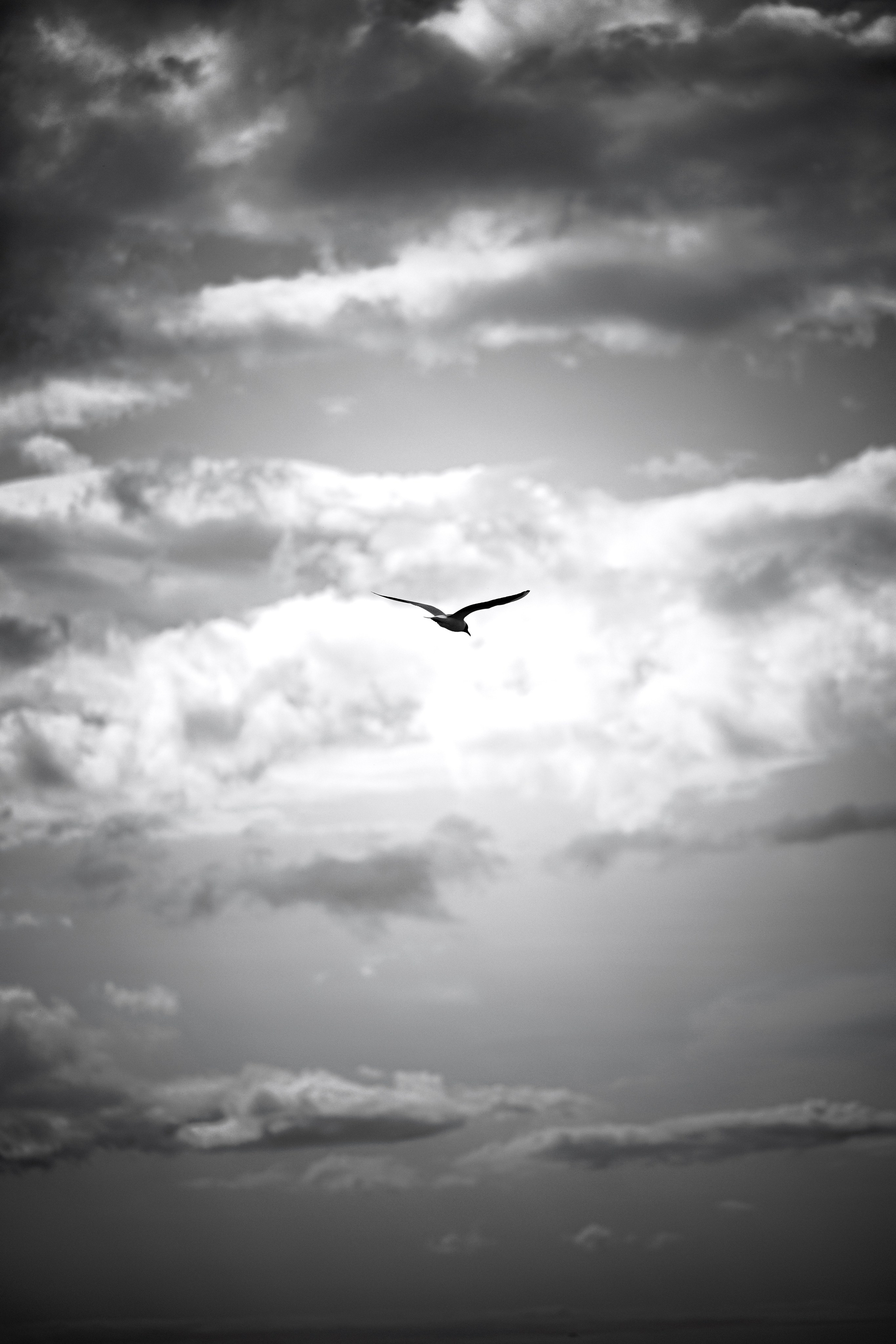 Street. Фотограф в Санкт-Петербурге Шевцов Андрей