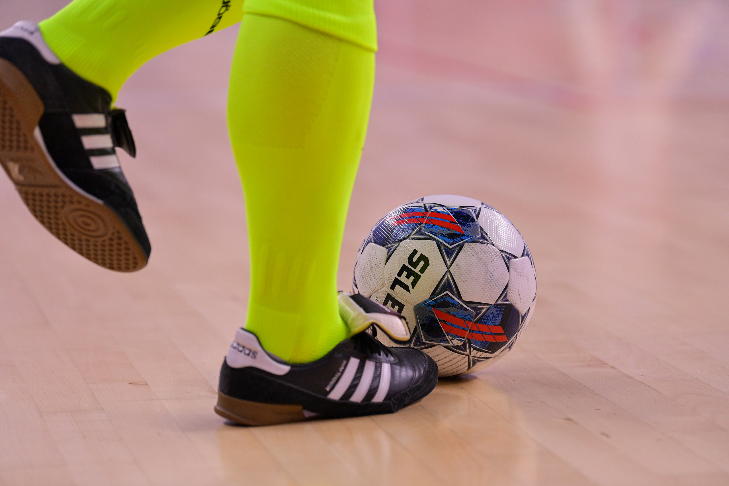 Winline Суперкубок России по футзалу 2024/25 МФК «Норильский никель» vs МФК «Газпром-Югра». Финал 25.08.2024 ВА «Динамо» г. Москва. Свой взгляд через объектив