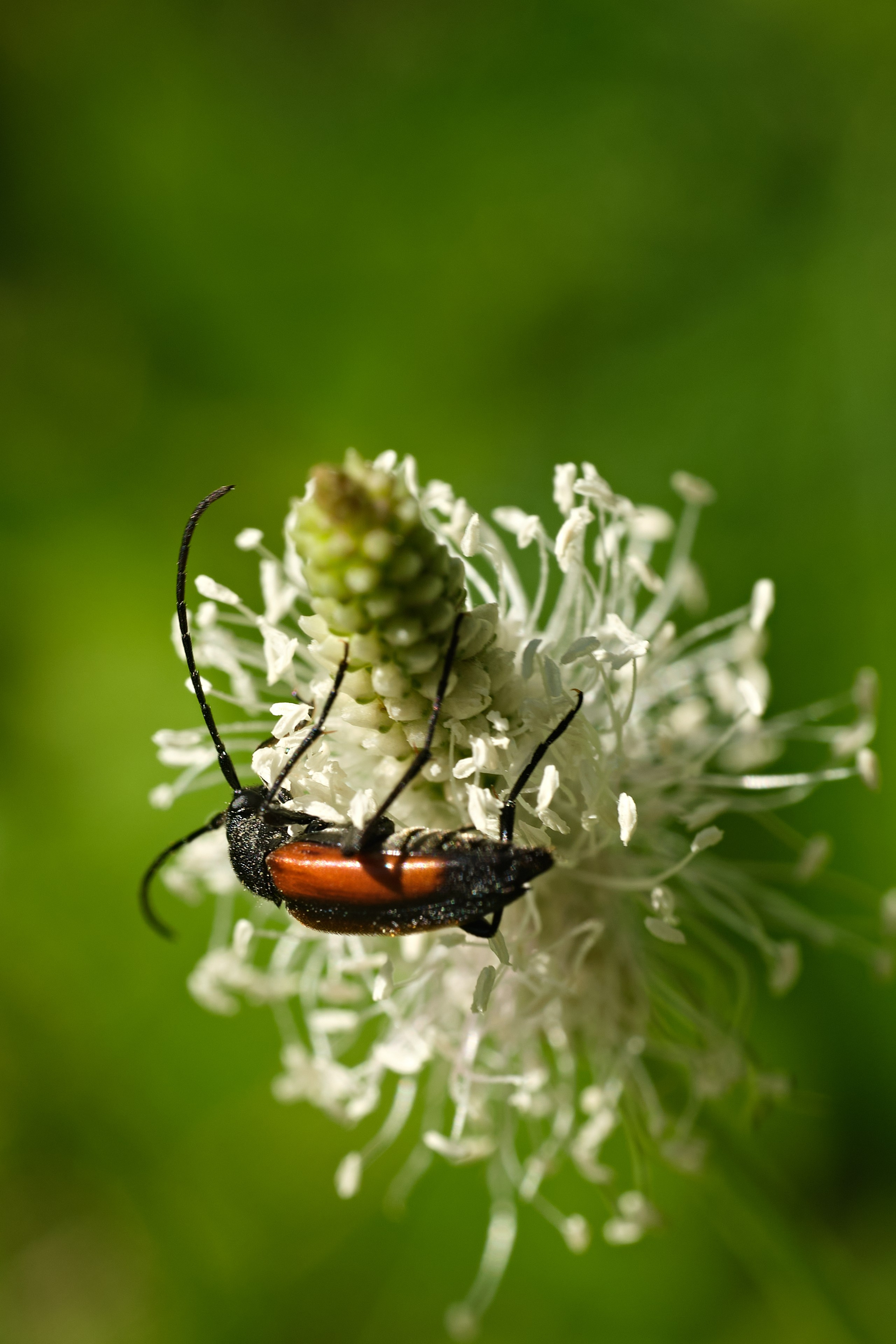 Nature. Рекламная фото и видео съёмка в Екатеринбурге
