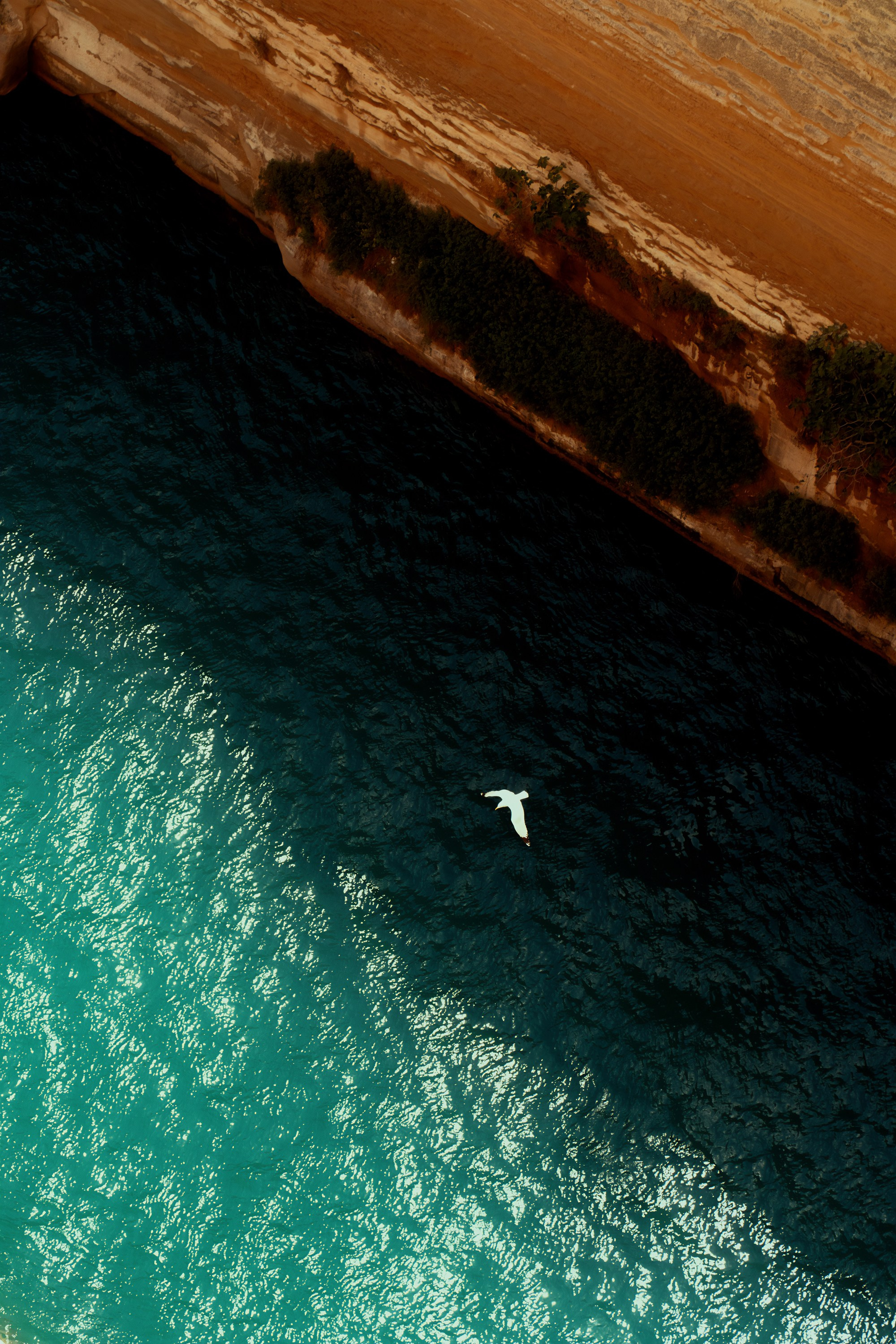 Турция, Греция, Иордания. Фотограф в Хабаровске. Фотография за 24 часа