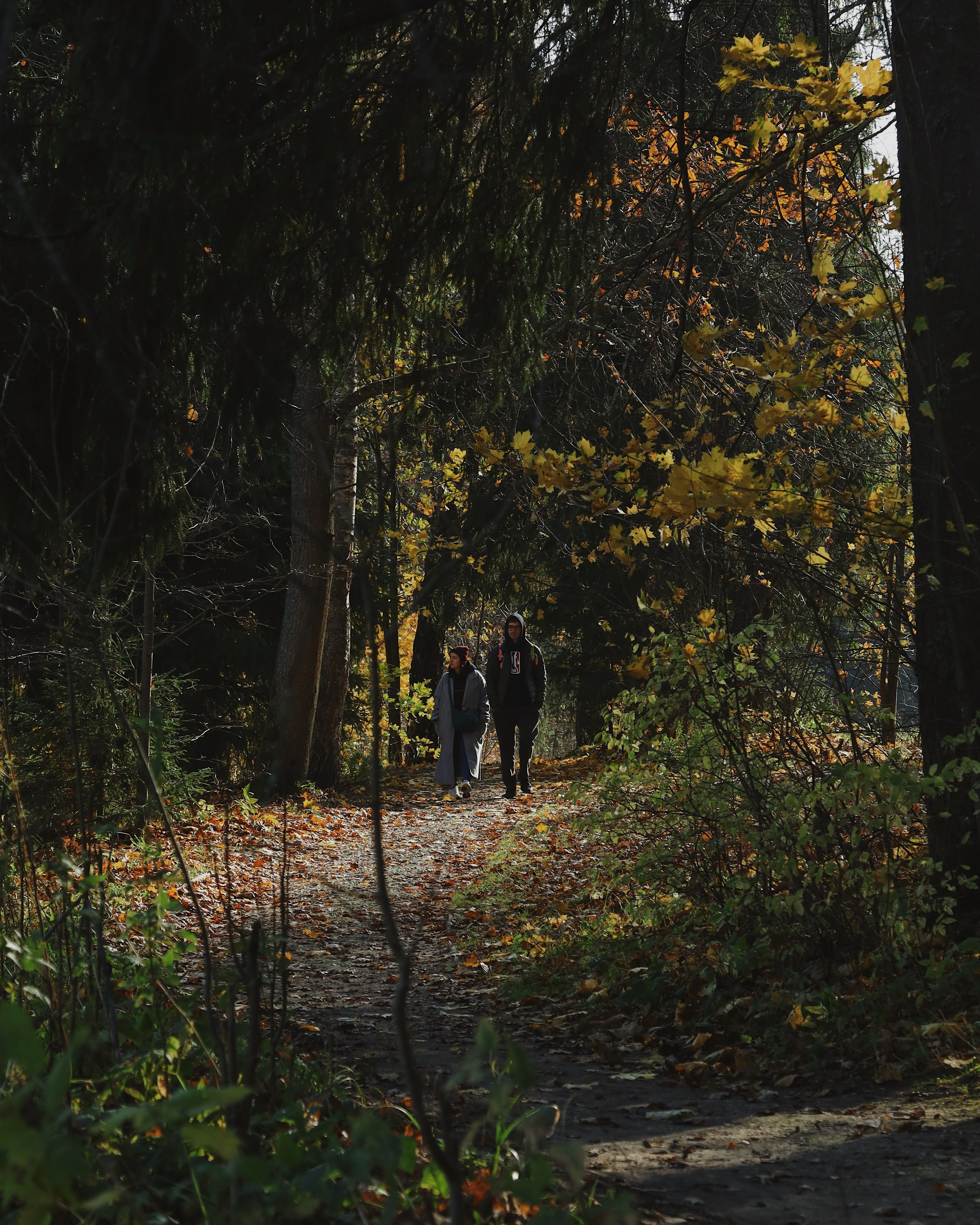 Фотограф Павел Подшивалов