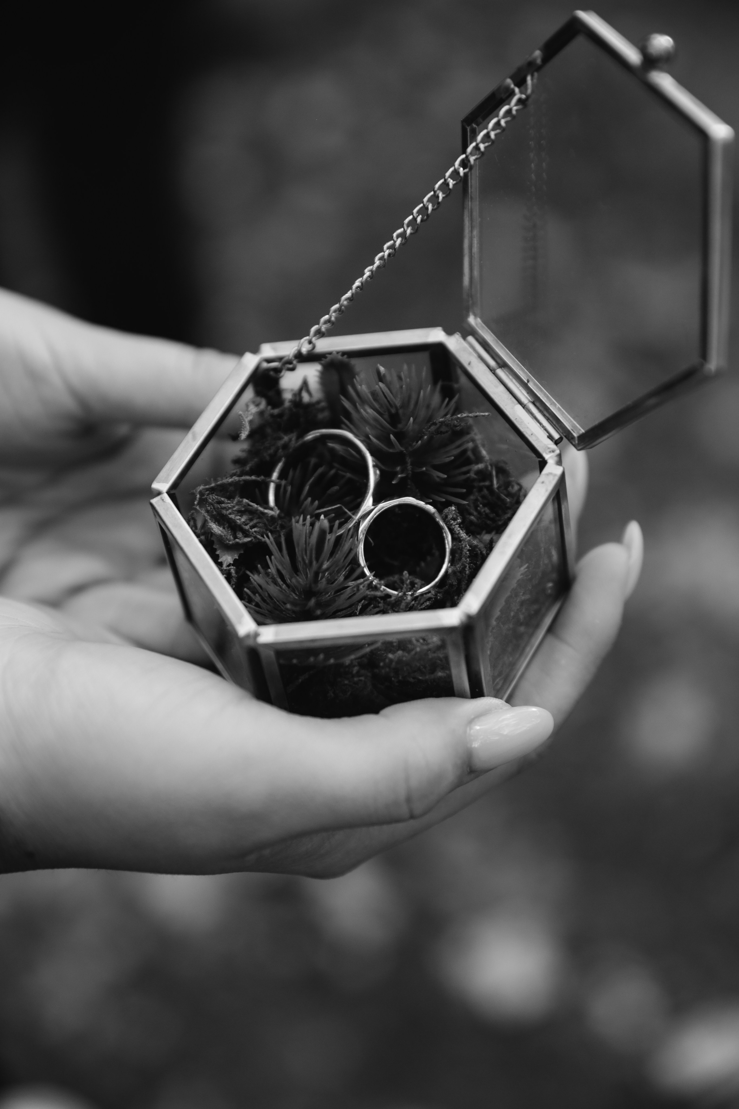 Галина и Игорь. Катерина Макиева