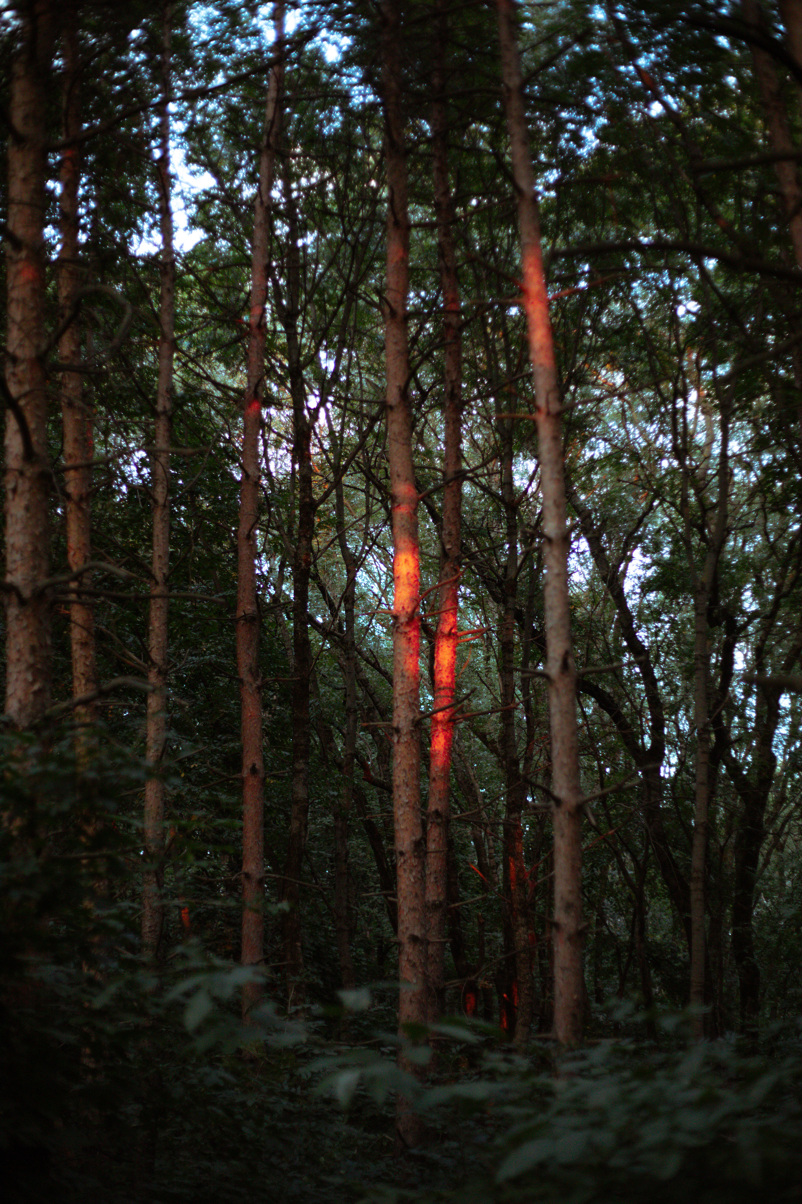 — то что нравится. Фотограф Кочкаев Роман