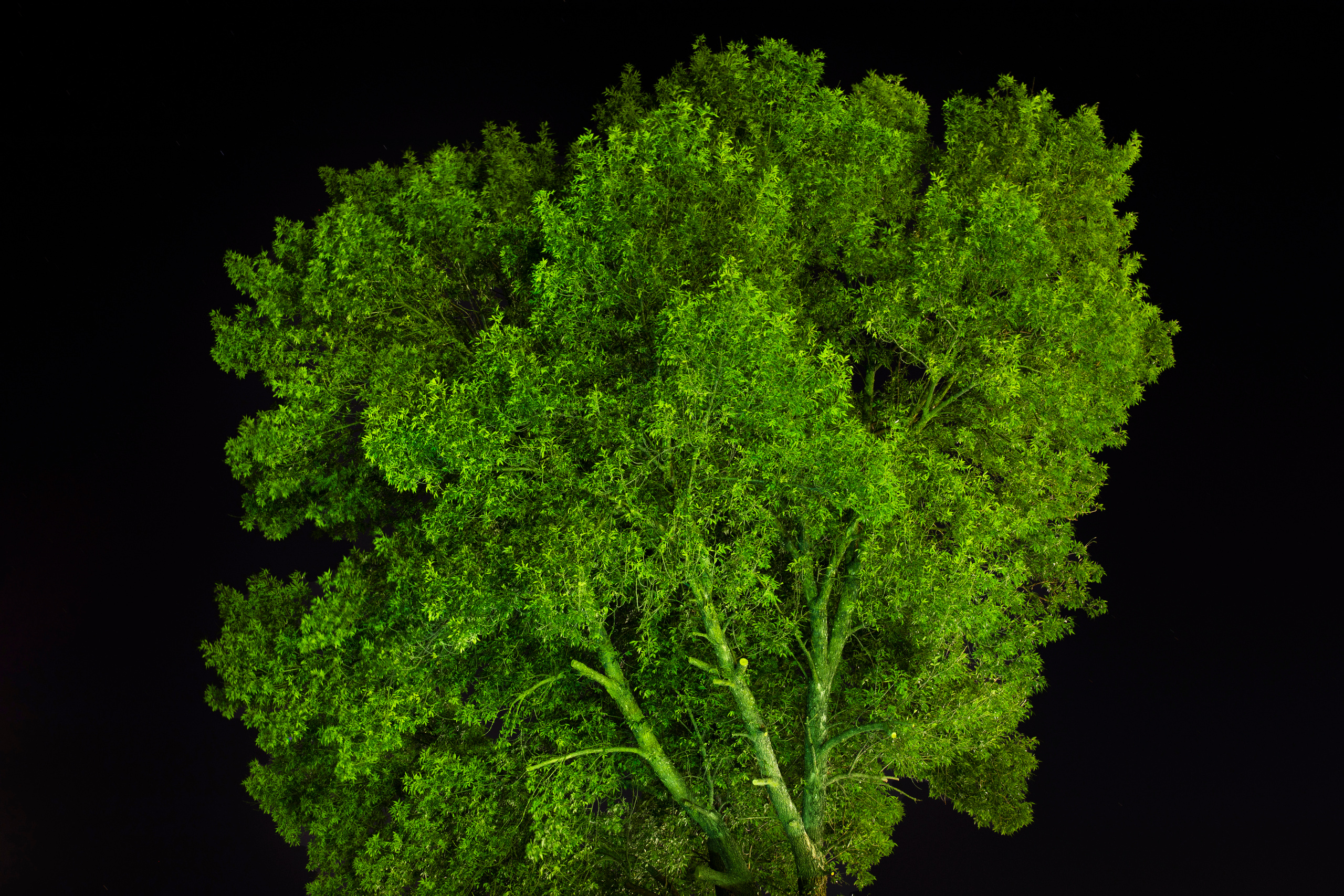 — посозерцать. Фотограф Кочкаев Роман